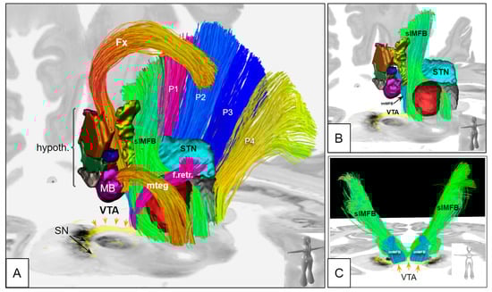 Brainsci 14 00723 g007
