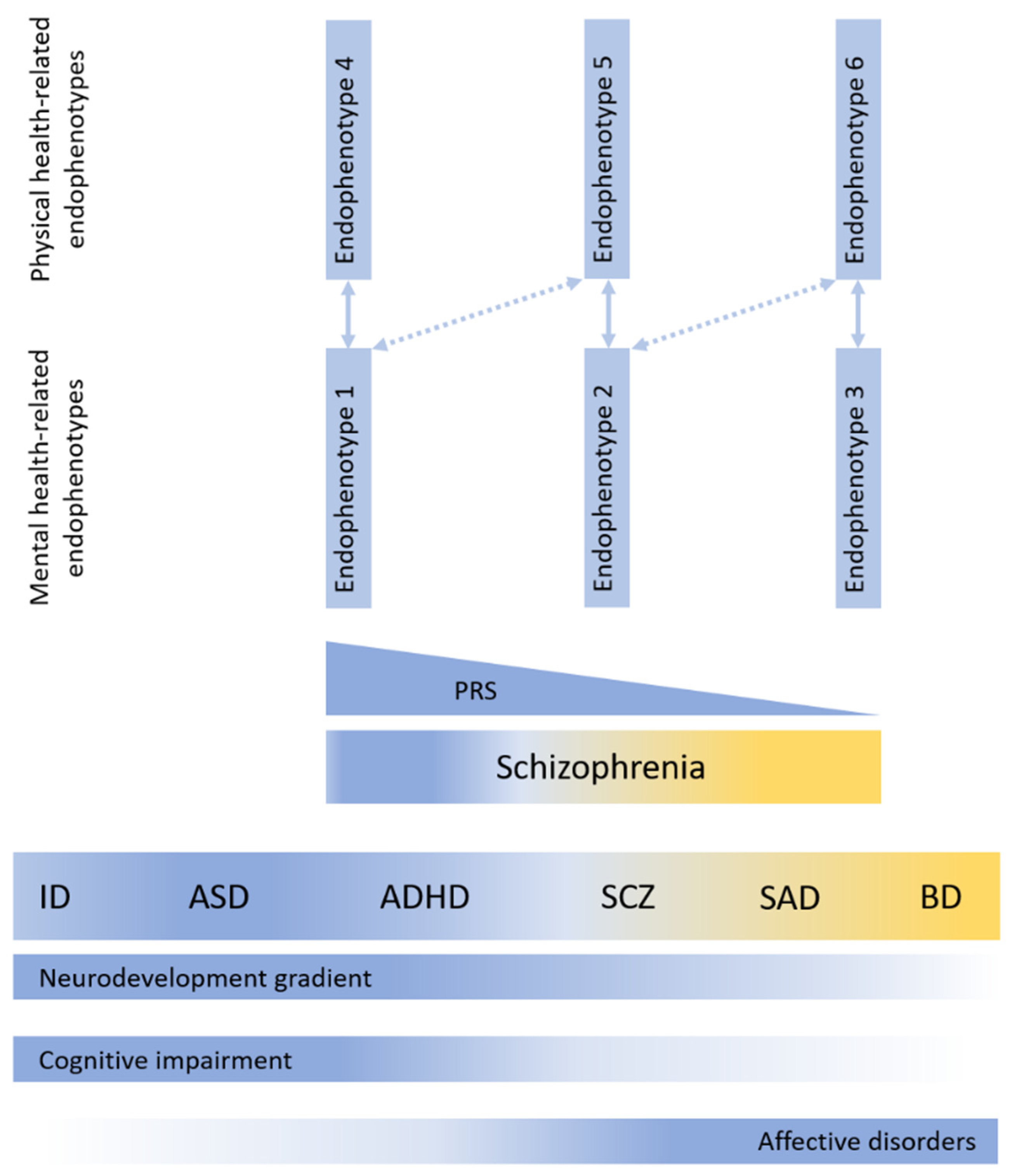 Brainsci 14 00725 g001