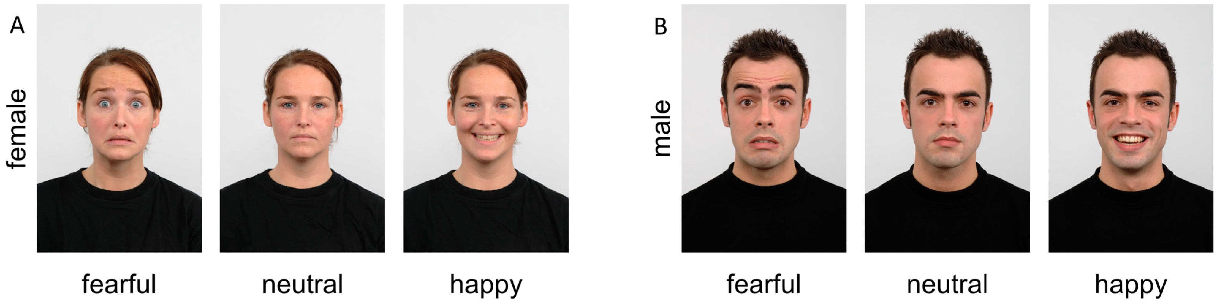 Brainsci 14 00739 g001