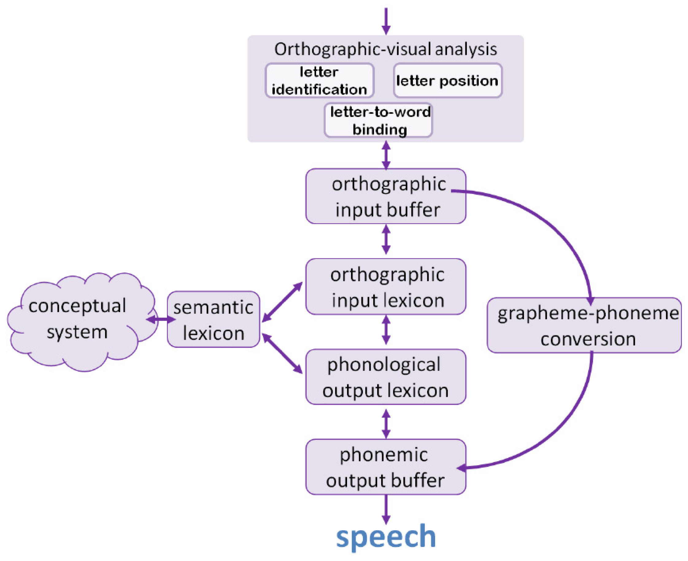 Brainsci 14 00743 g001