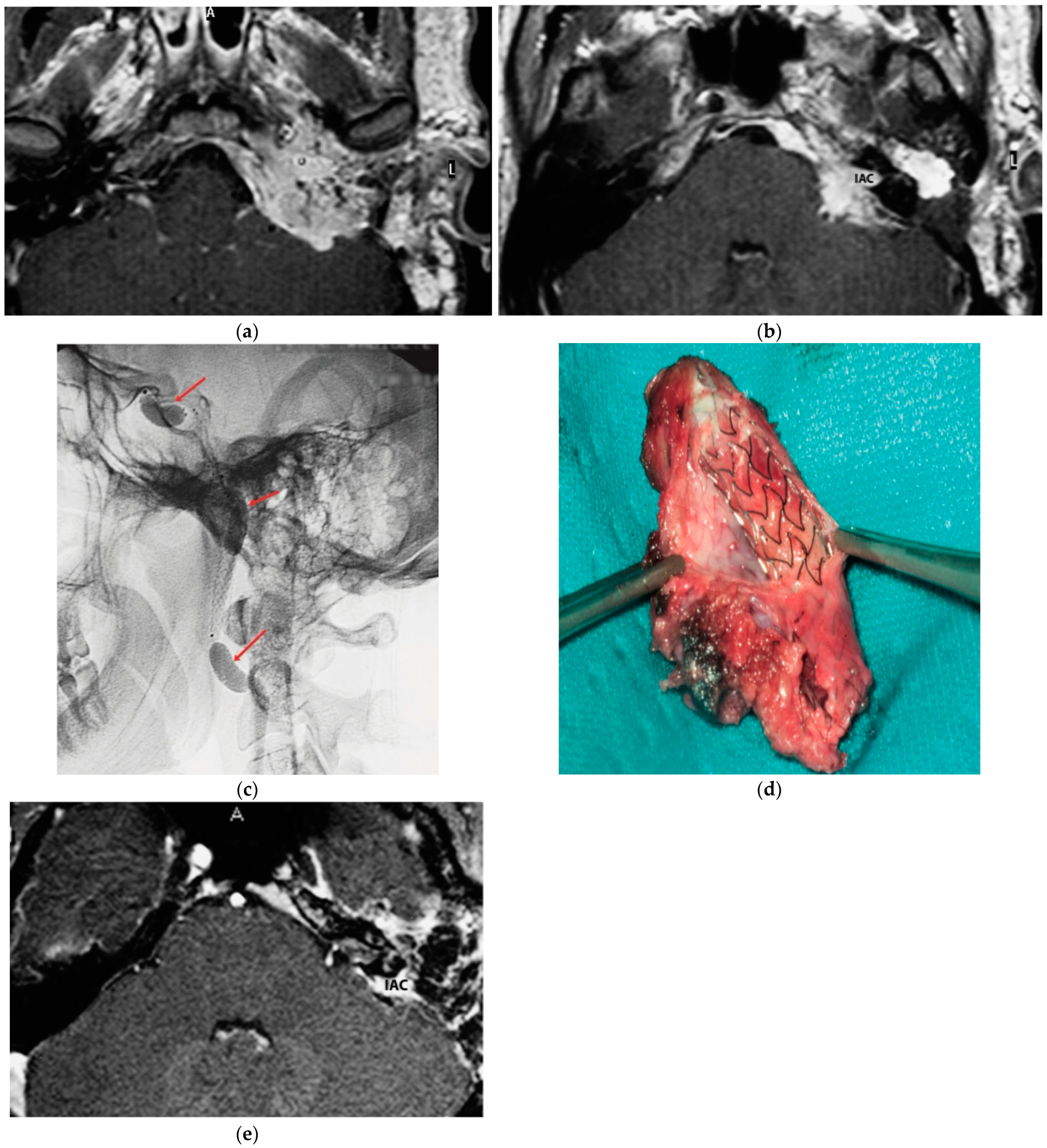 Brainsci 14 00745 g001