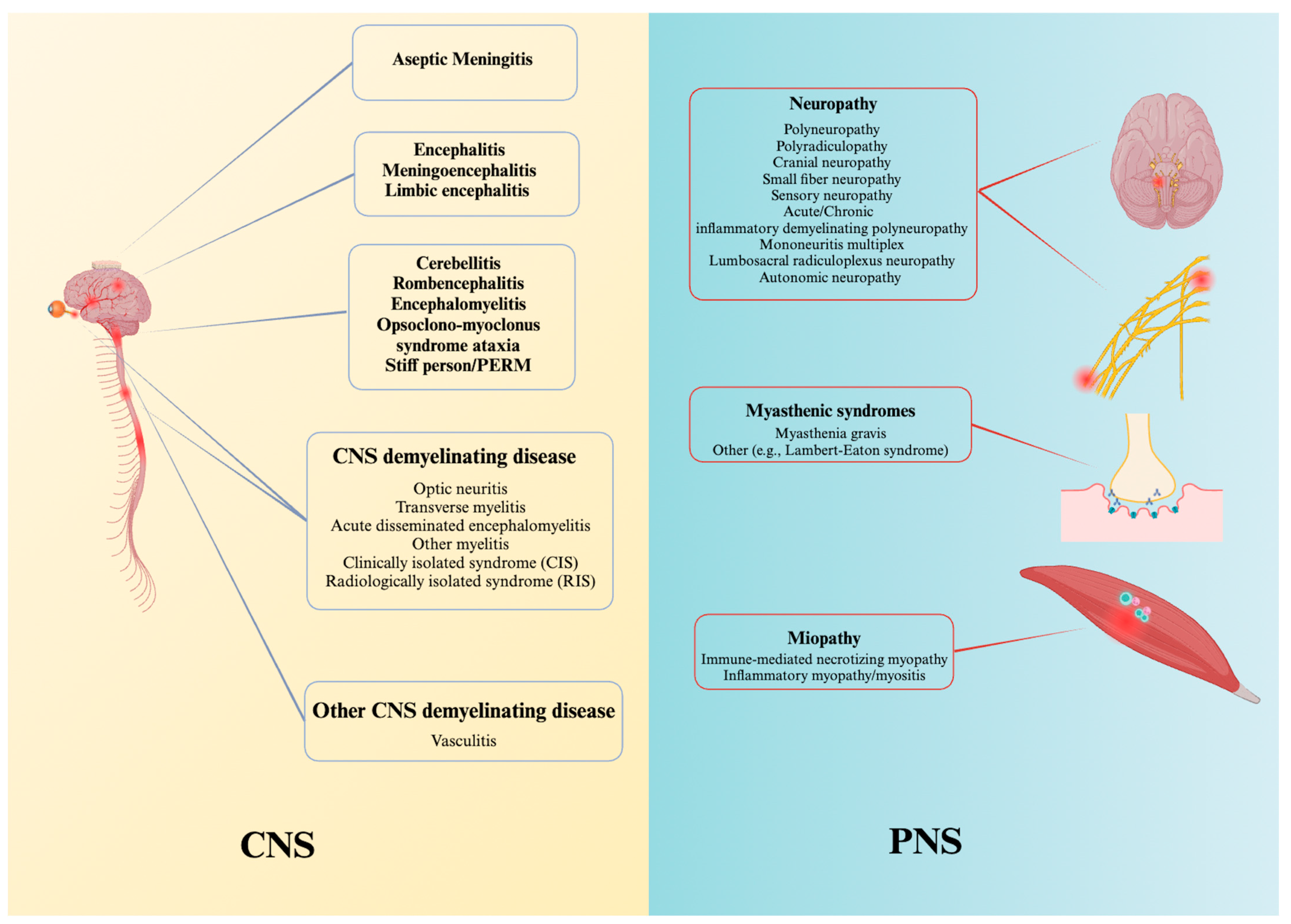 Brainsci 14 00764 g001