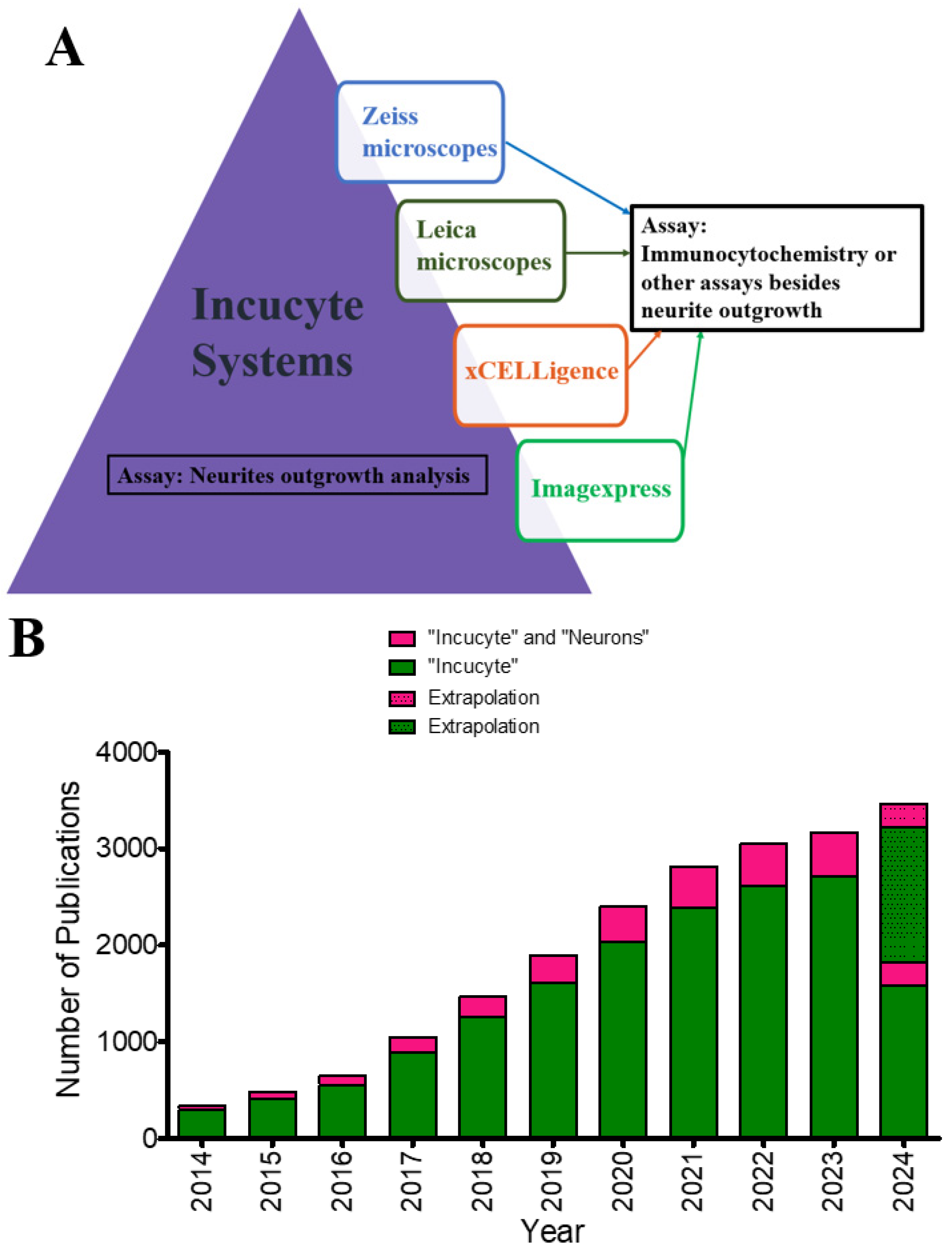Brainsci 14 00770 g002 Brainsci 14 00770 g002