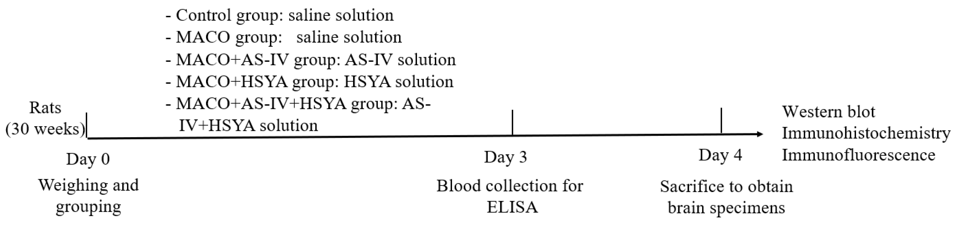Brainsci 14 00781 g001 Brainsci 14 00781 g001