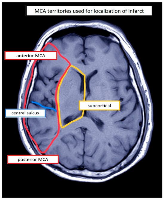 Brainsci 14 00789 g0a8