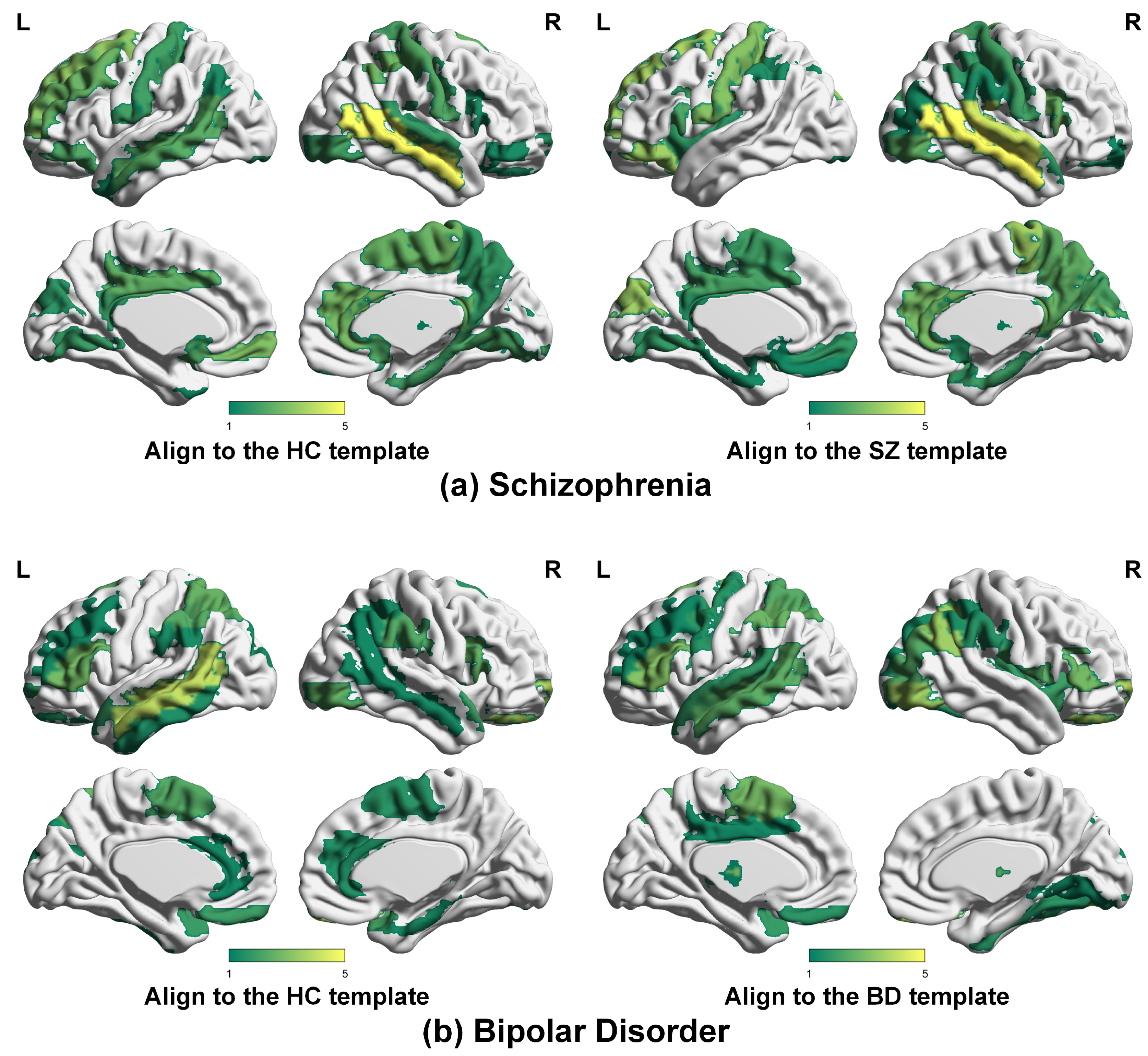 Brainsci 14 00810 g003