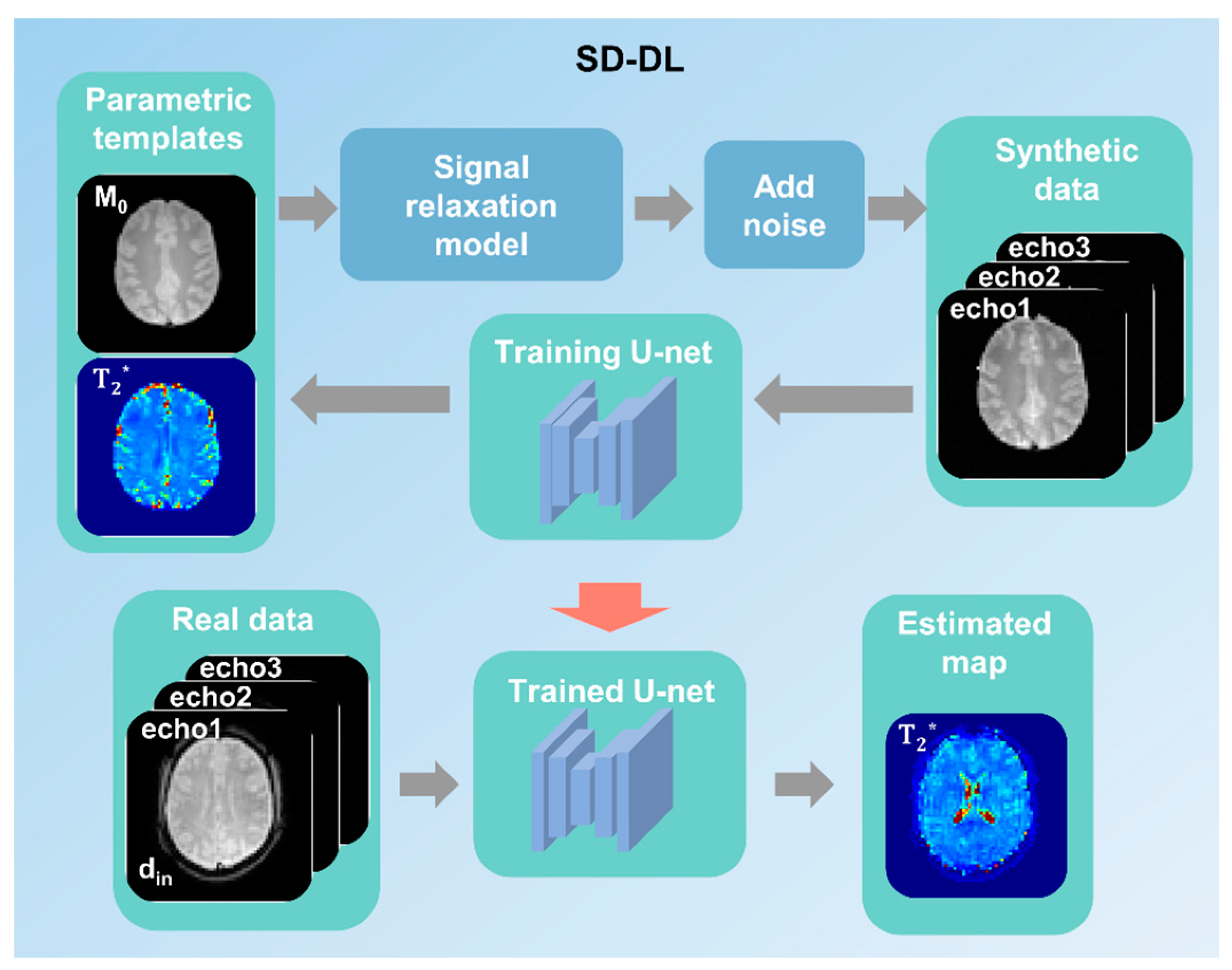 Brainsci 14 00828 g002
