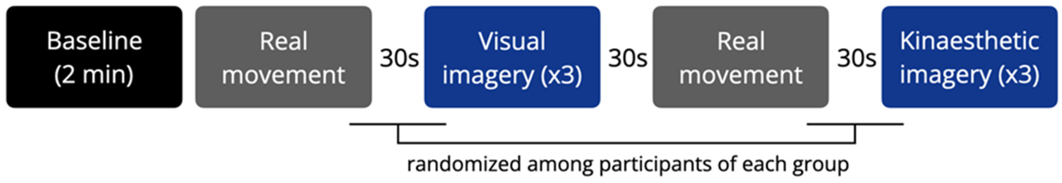 Brainsci 14 00832 g001