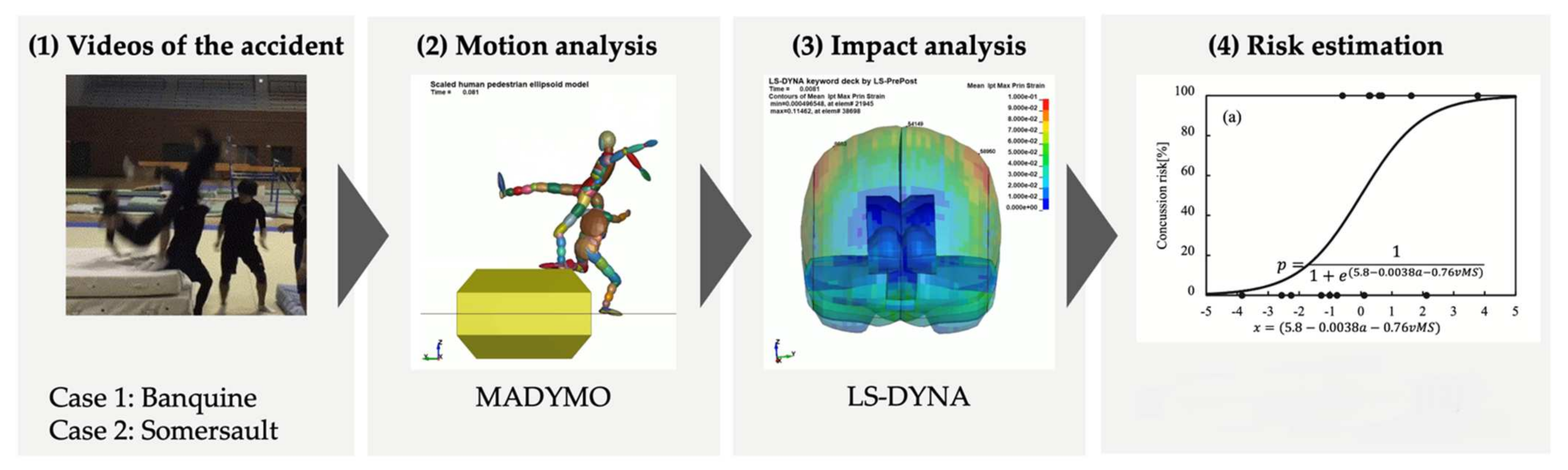 Brainsci 14 00835 g001