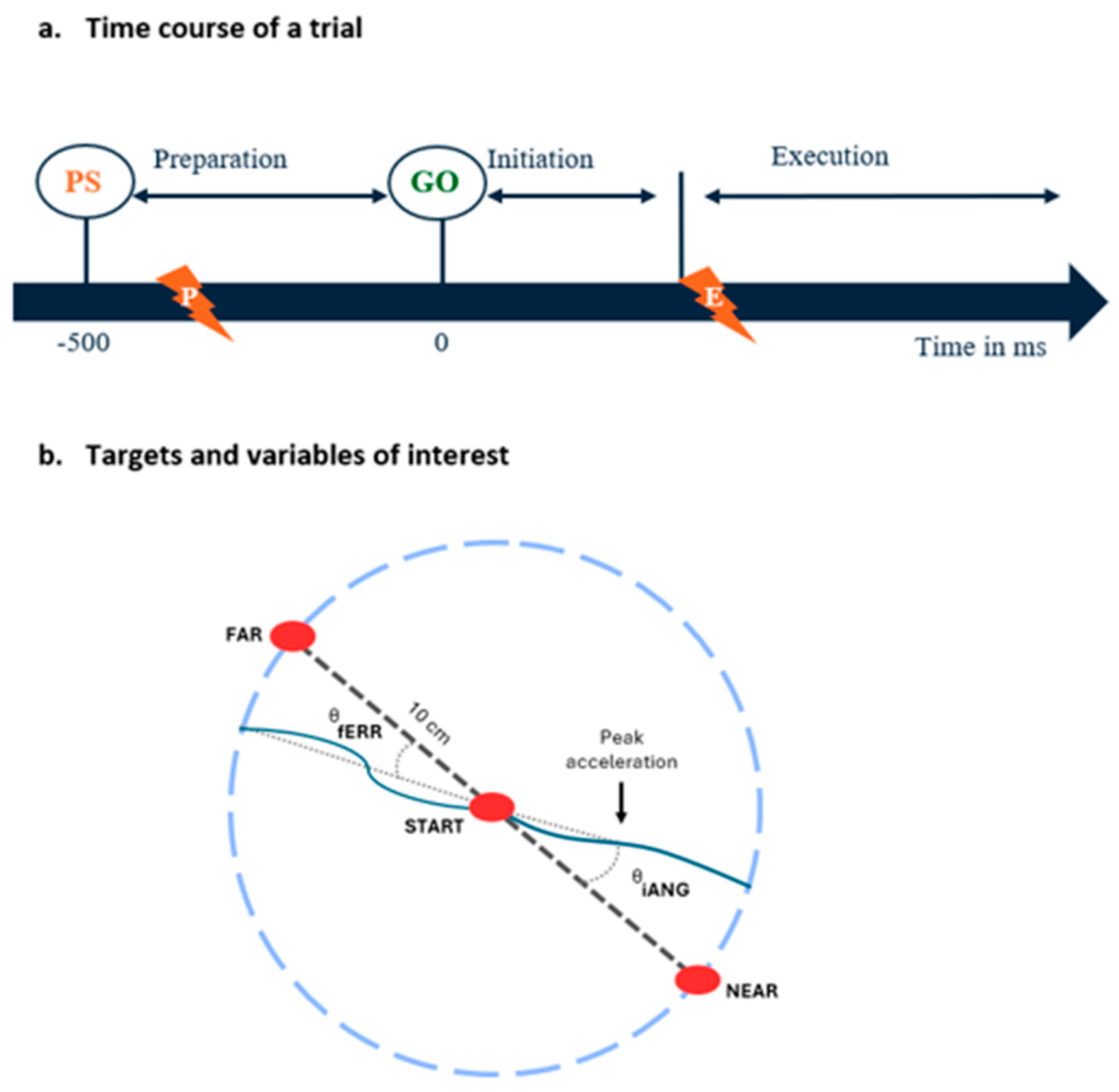 Brainsci 14 00851 g002