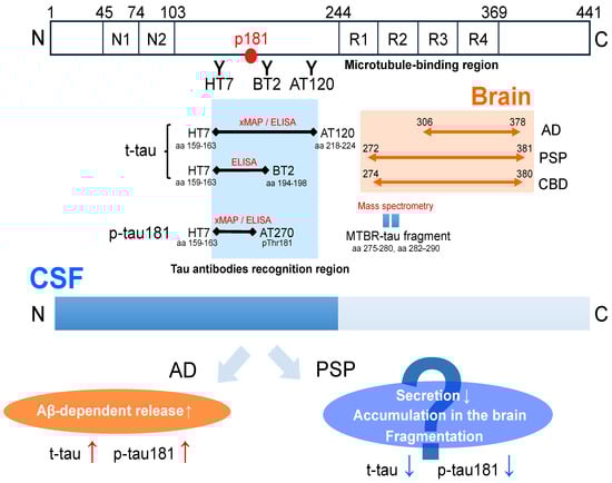 Brainsci 14 00859 g002