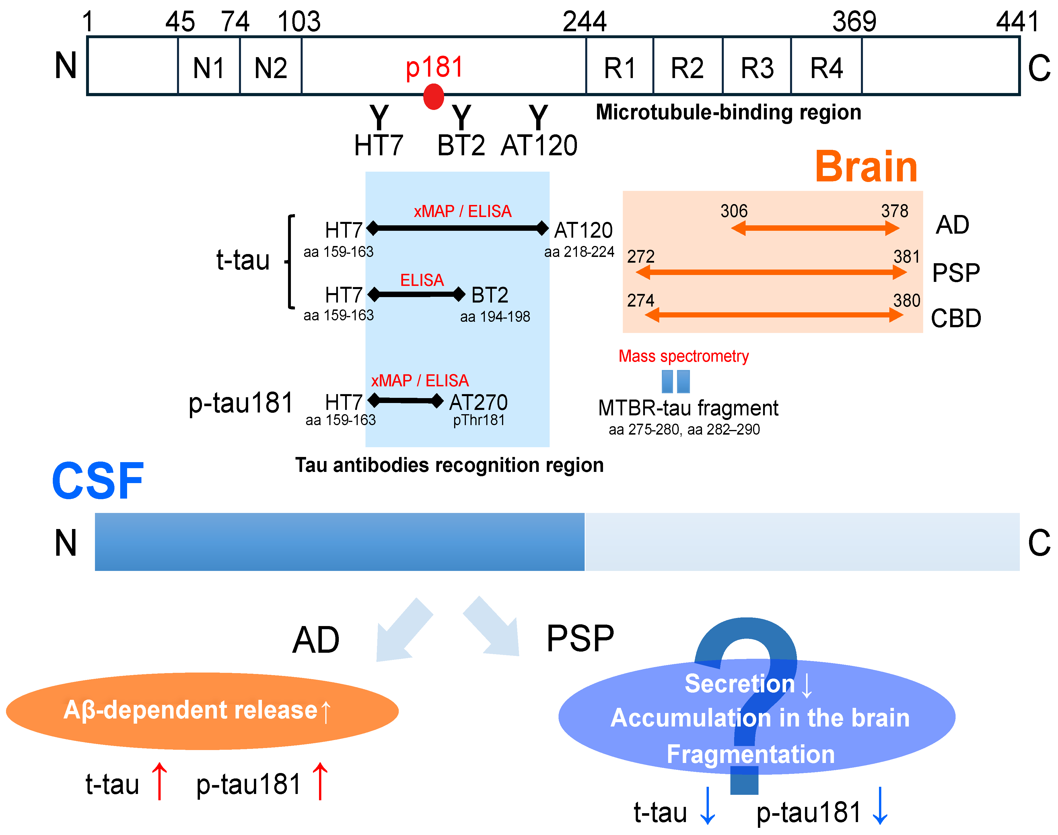 Brainsci 14 00859 g002 Brainsci 14 00859 g002
