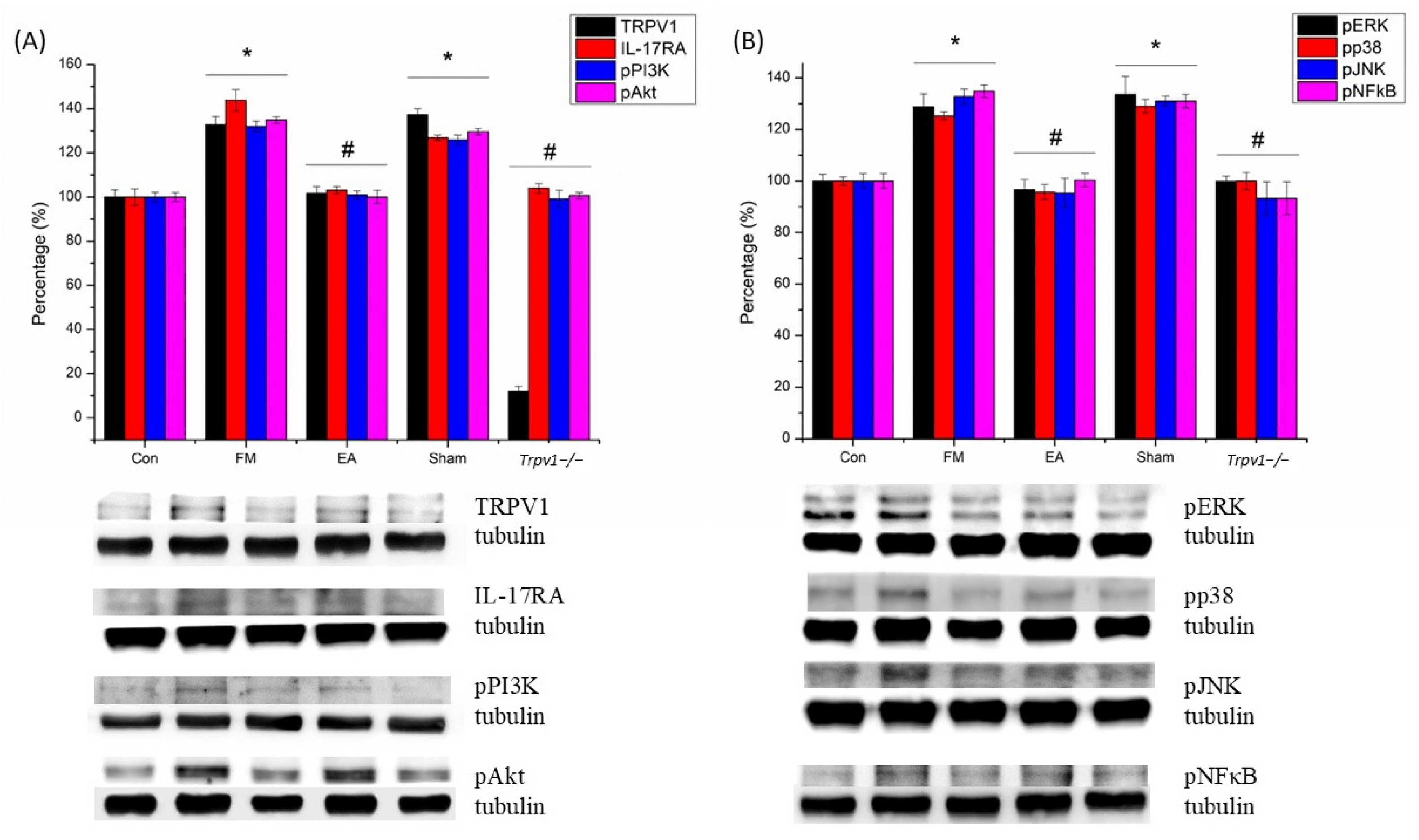 Brainsci 14 00869 g004