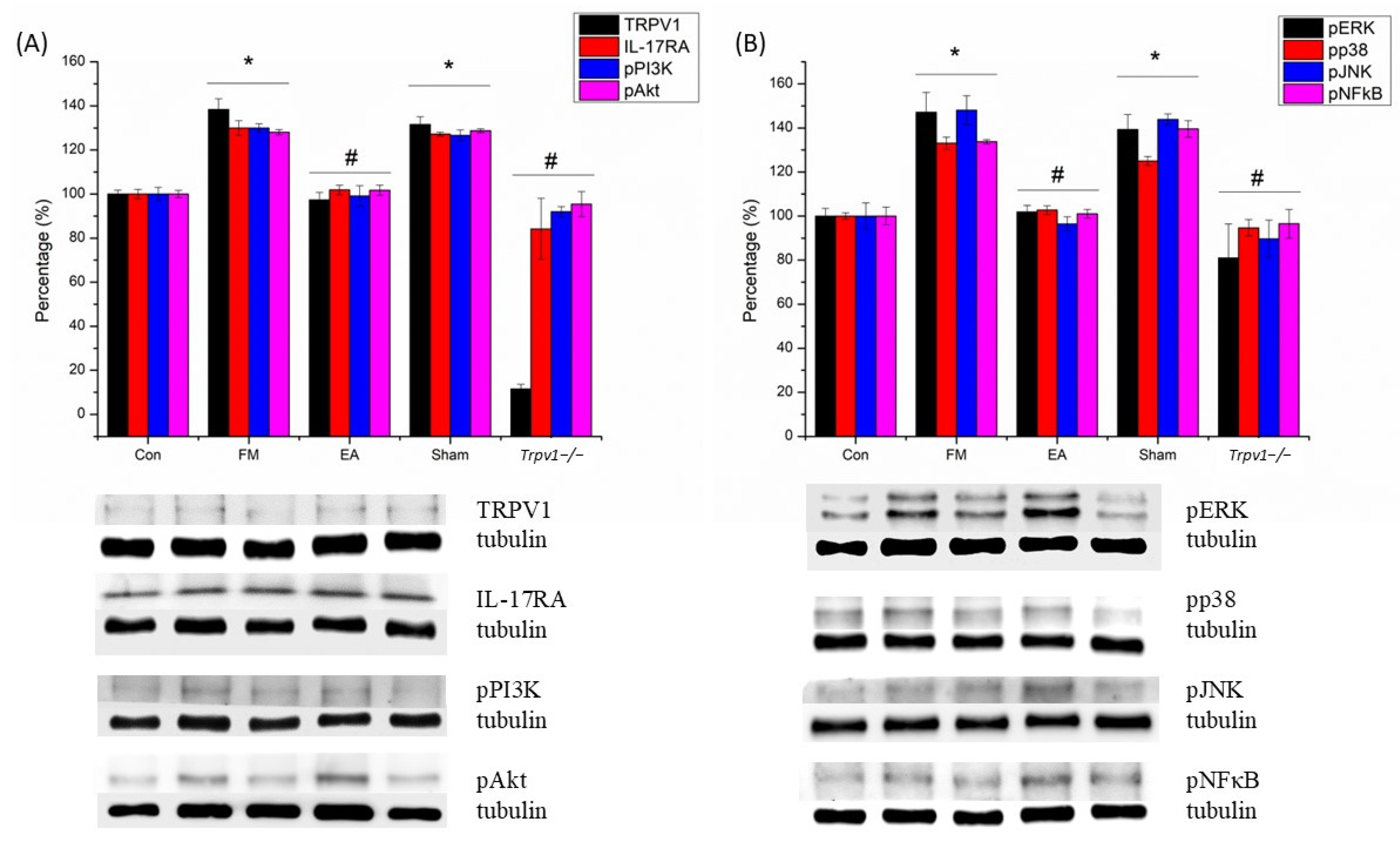 Brainsci 14 00869 g006