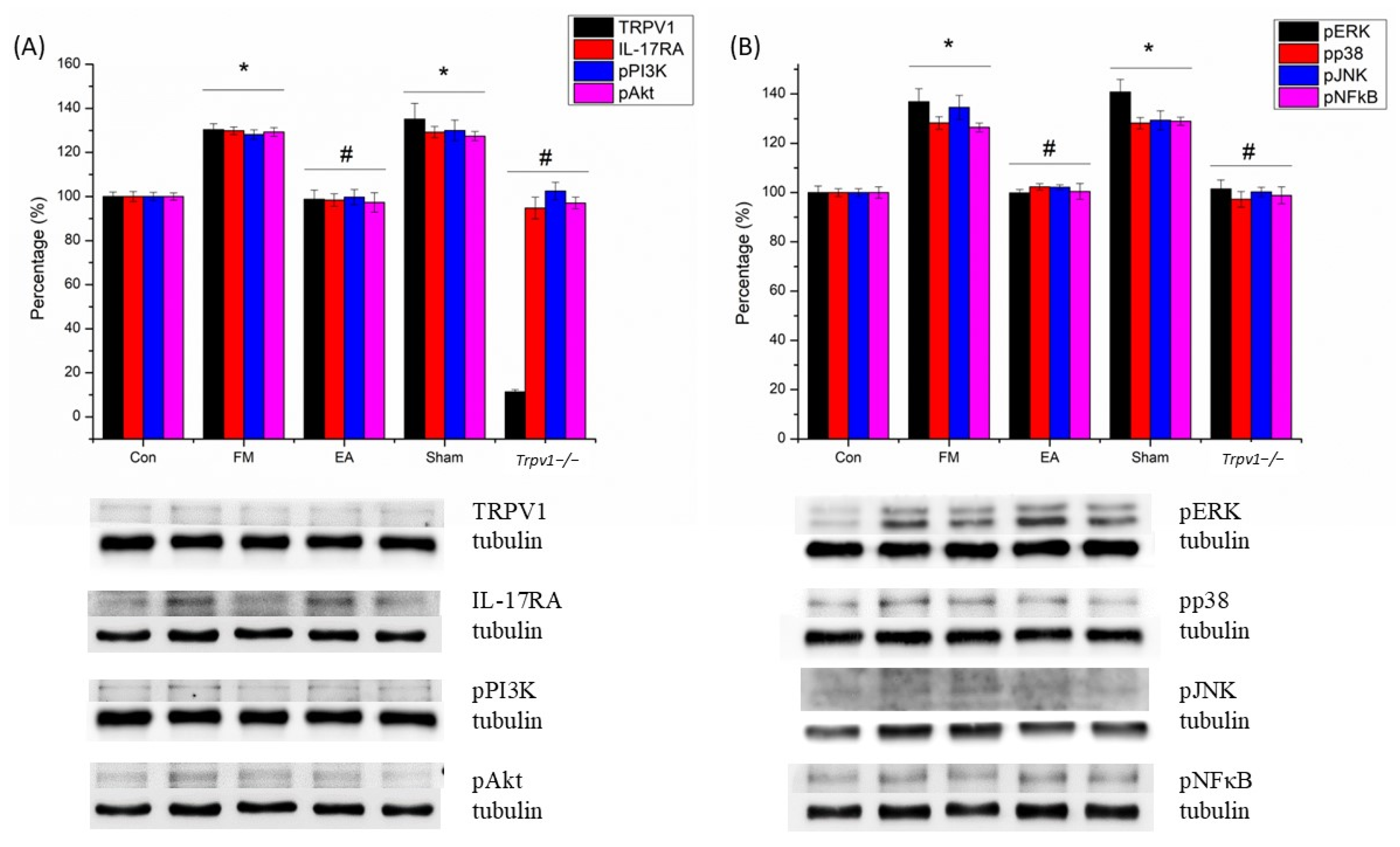 Brainsci 14 00869 g008