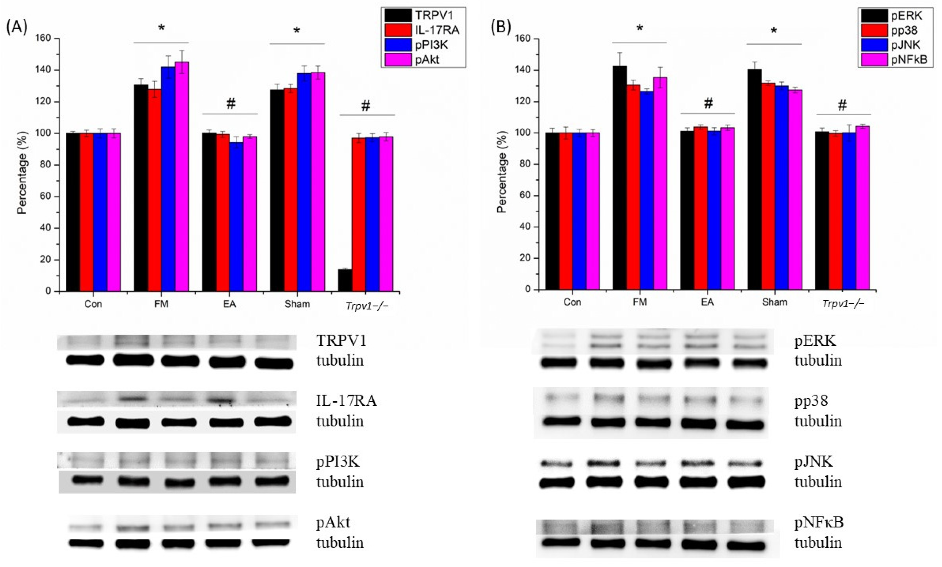 Brainsci 14 00869 g010