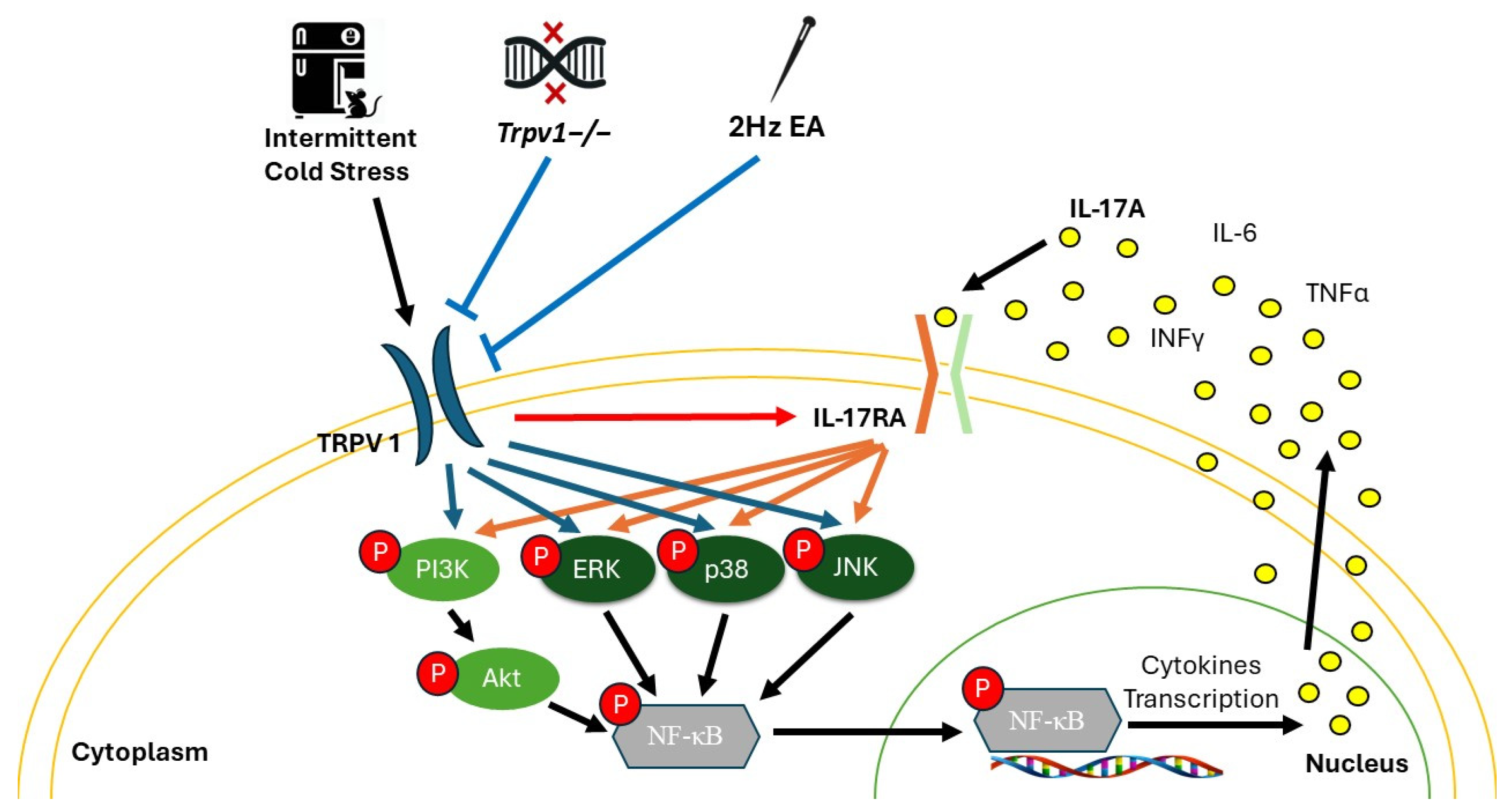 Brainsci 14 00869 g012