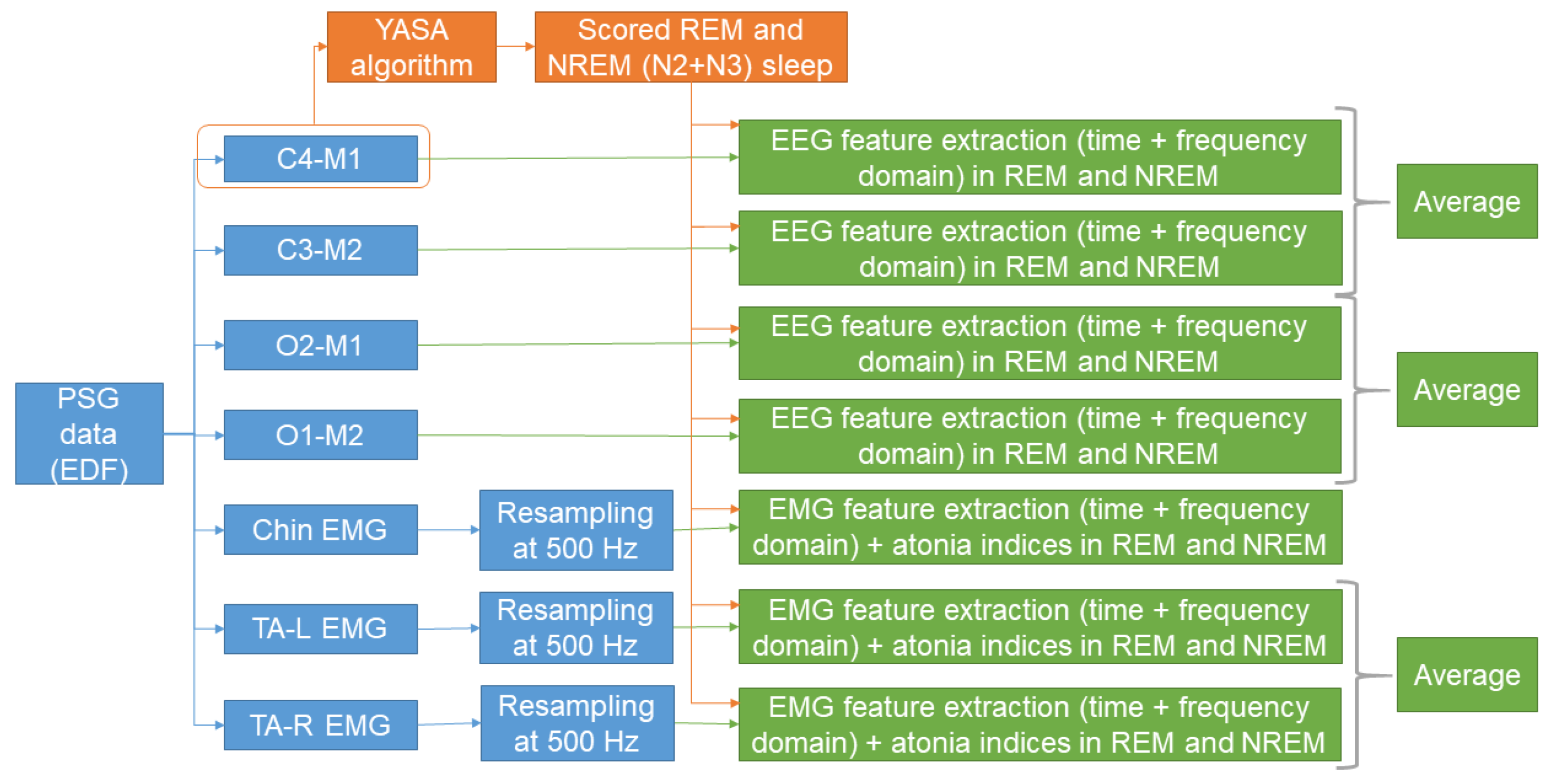 Brainsci 14 00871 g001