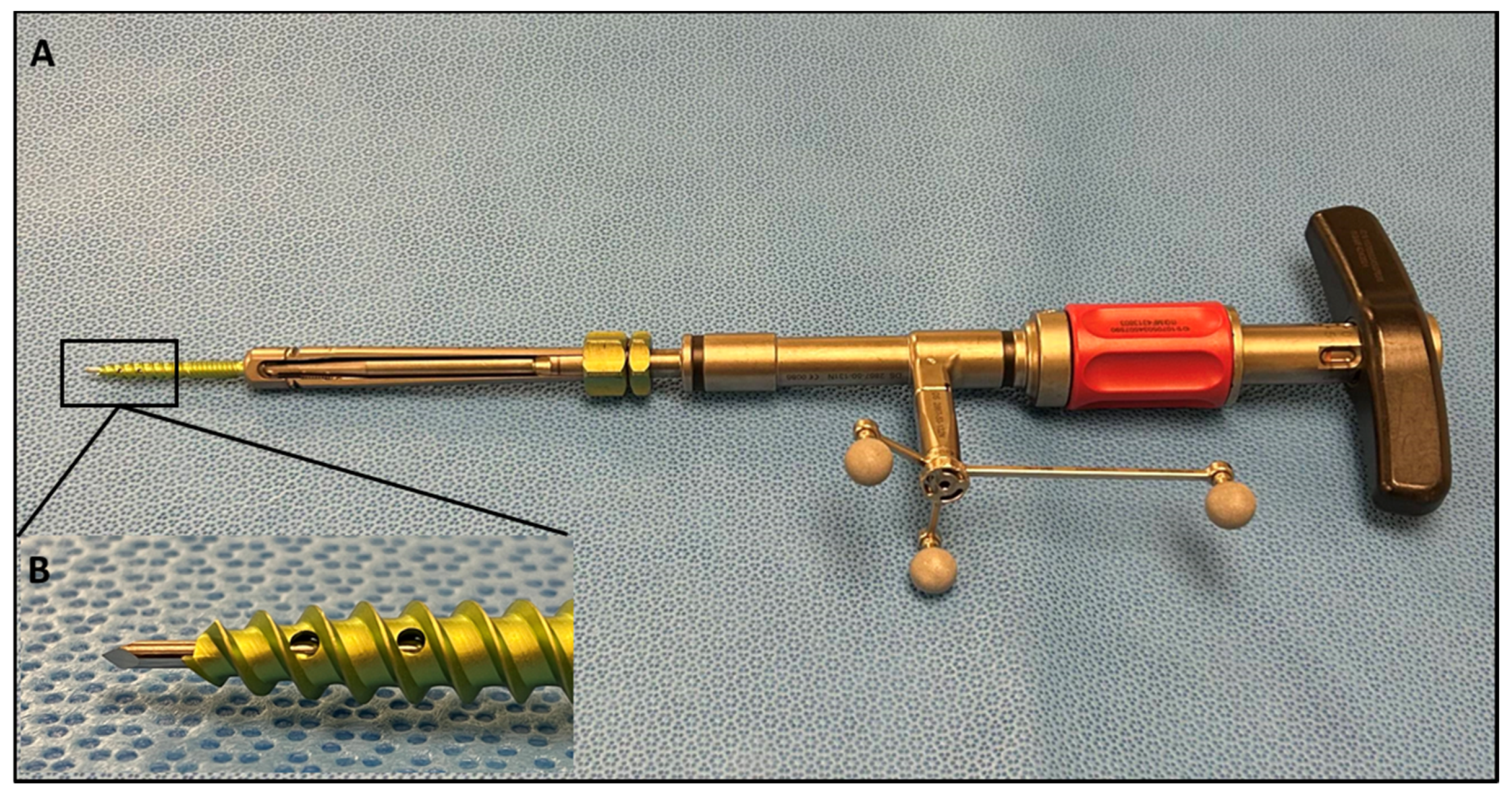 Brainsci 14 00873 g002