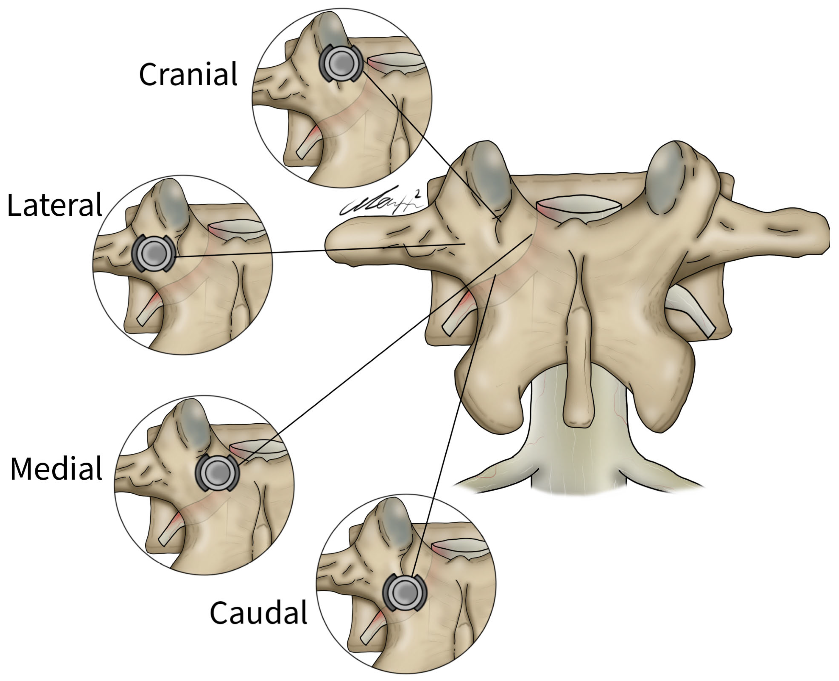 Brainsci 14 00873 g004