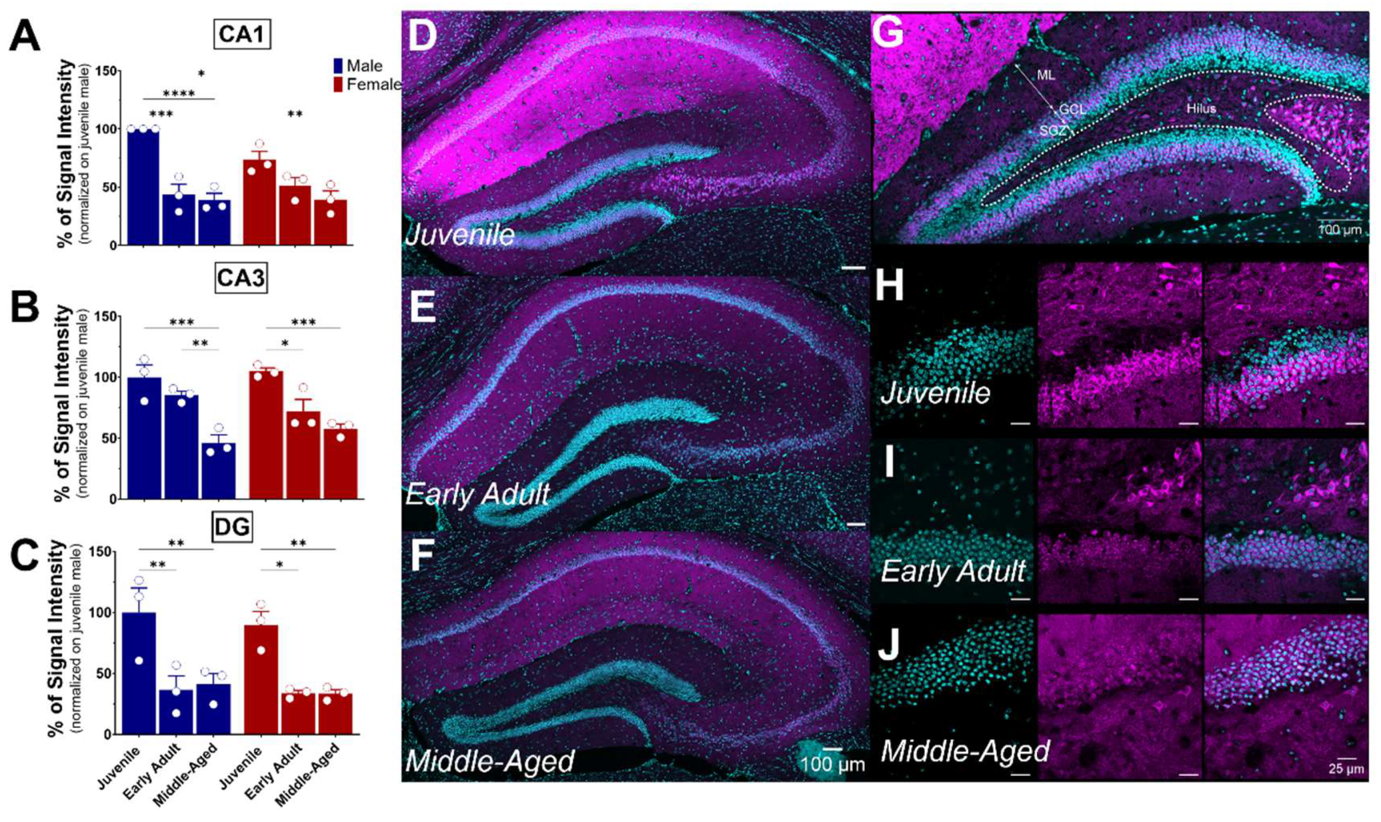 Brainsci 14 00881 g006