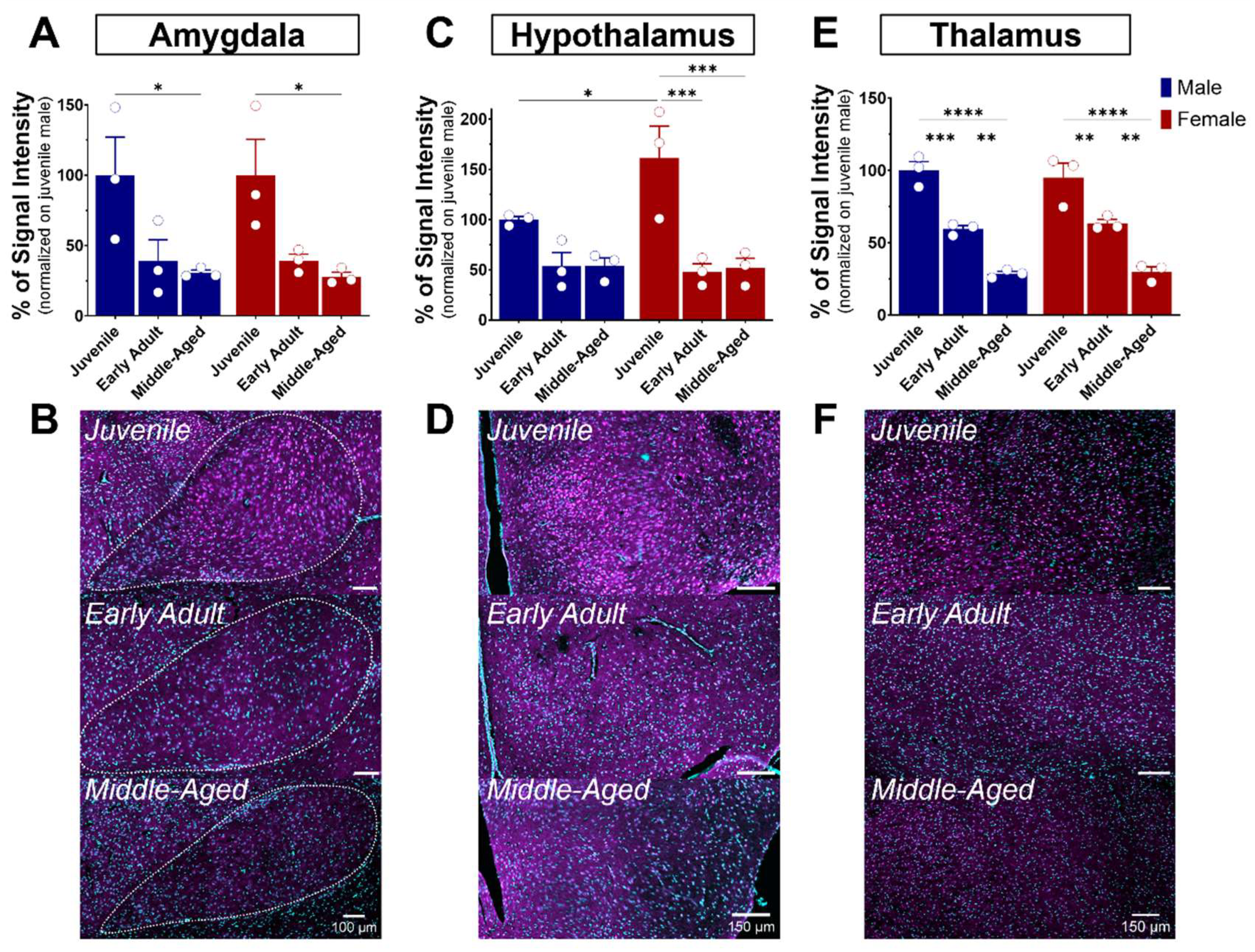 Brainsci 14 00881 g007