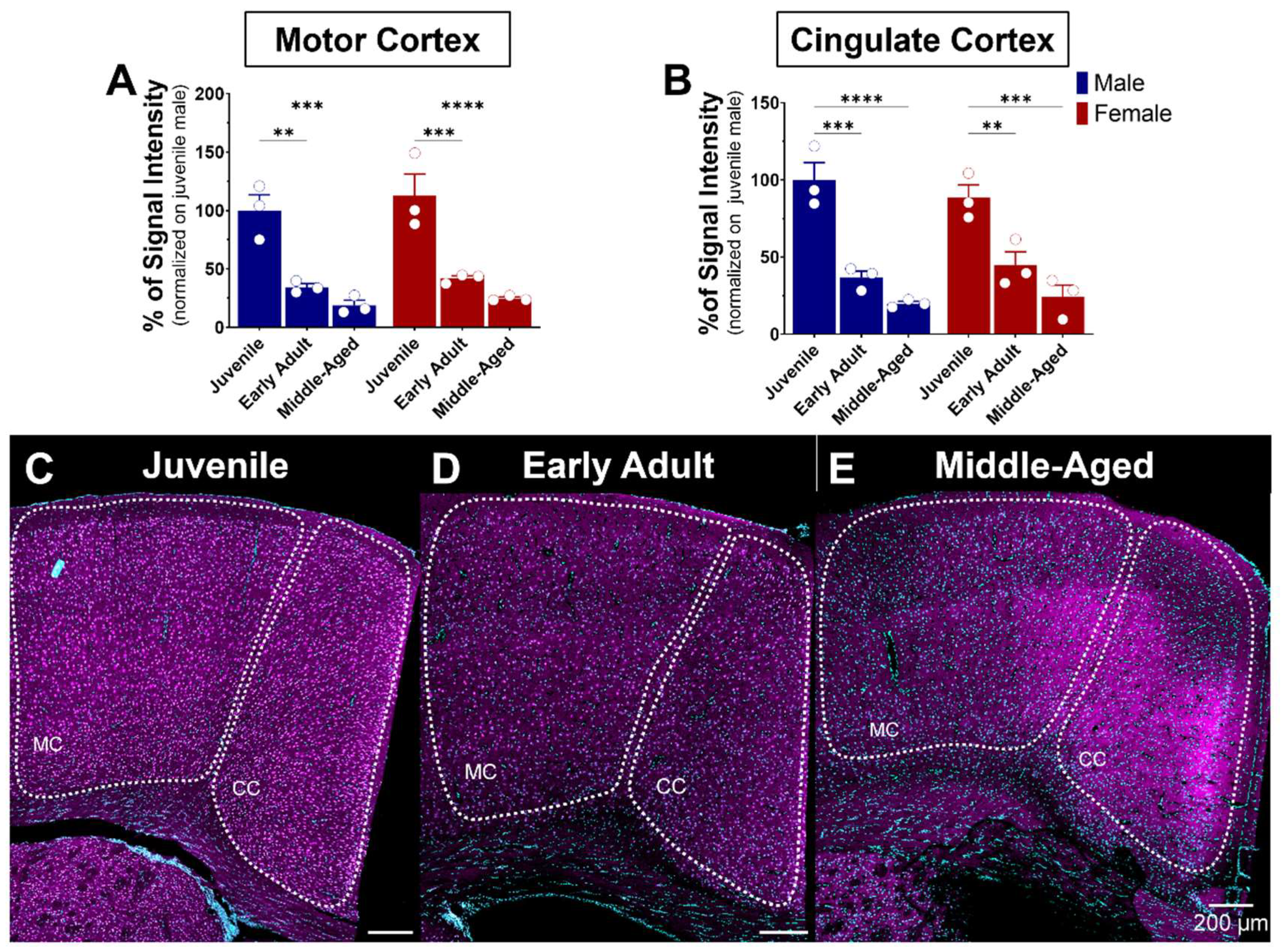Brainsci 14 00881 g008