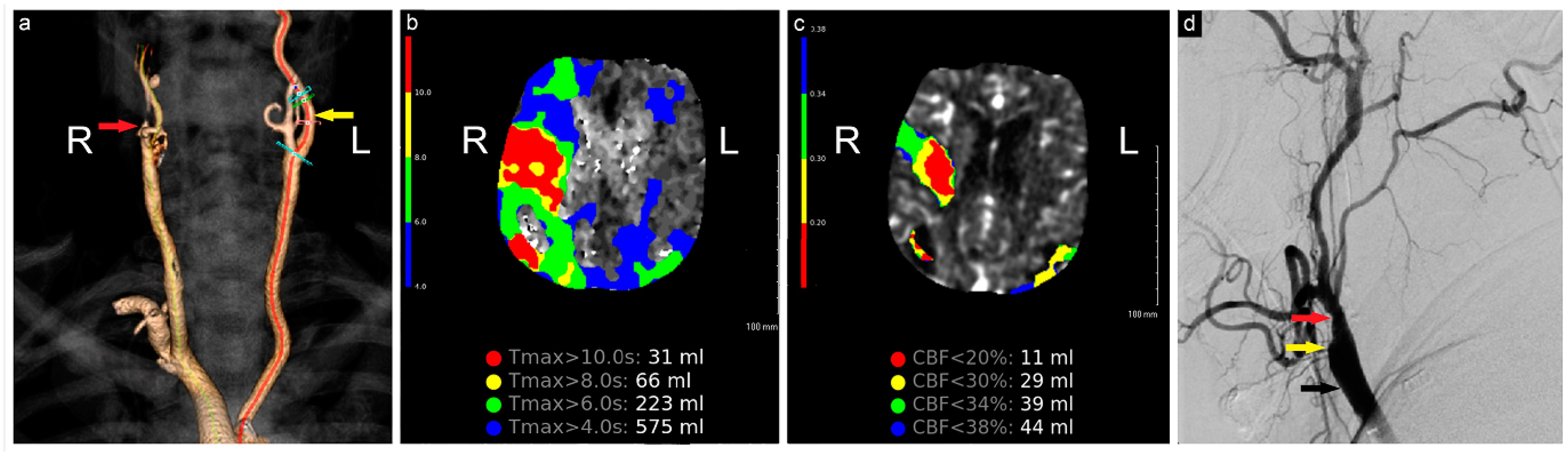 Brainsci 14 00882 g001
