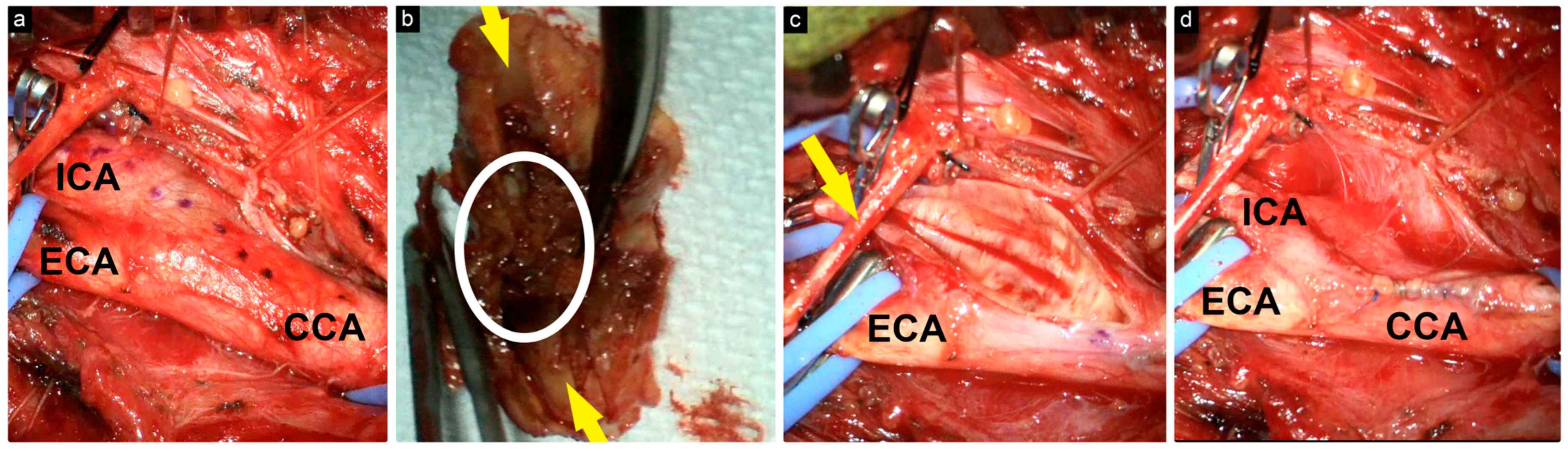 Brainsci 14 00882 g002