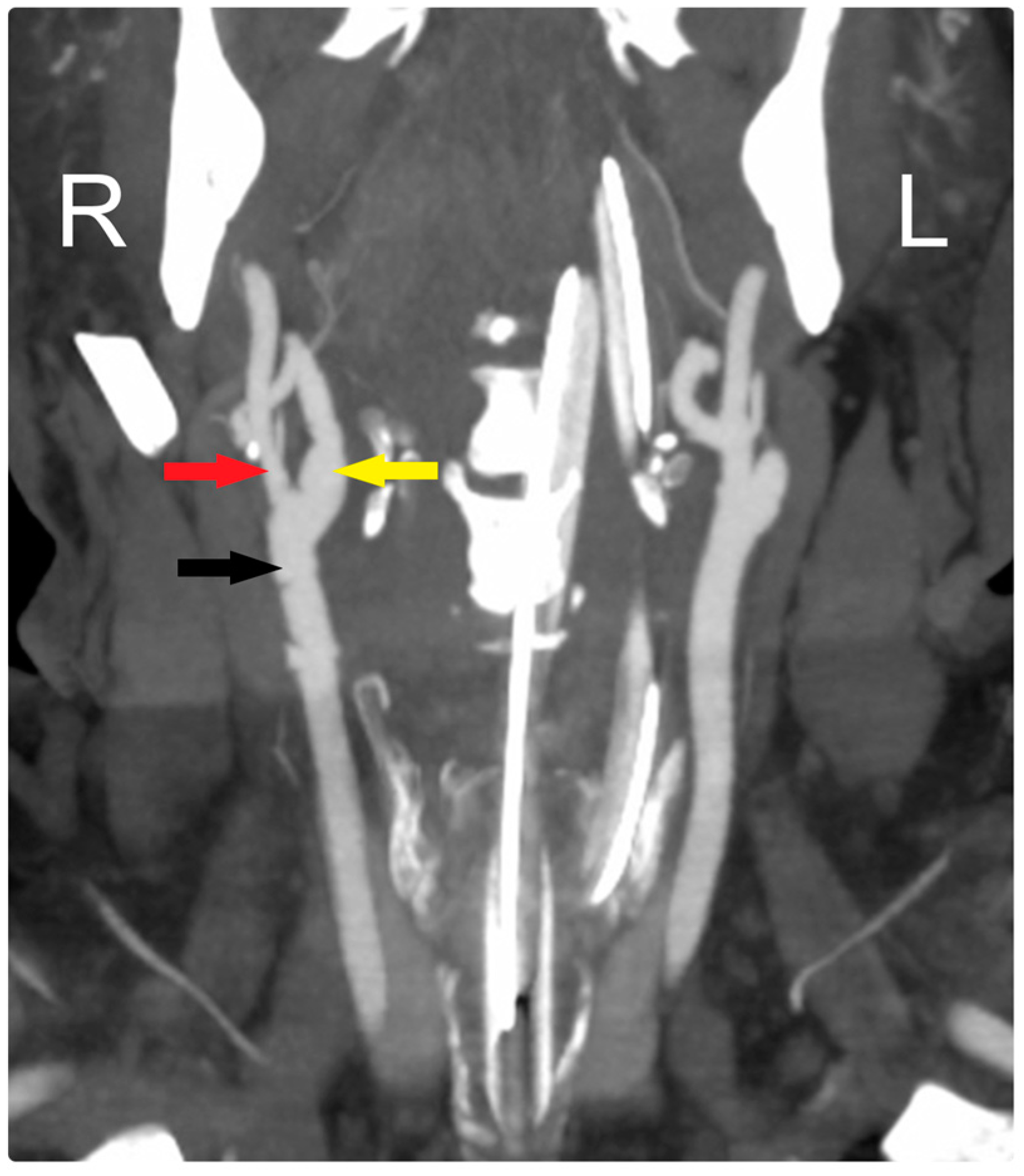 Brainsci 14 00882 g003