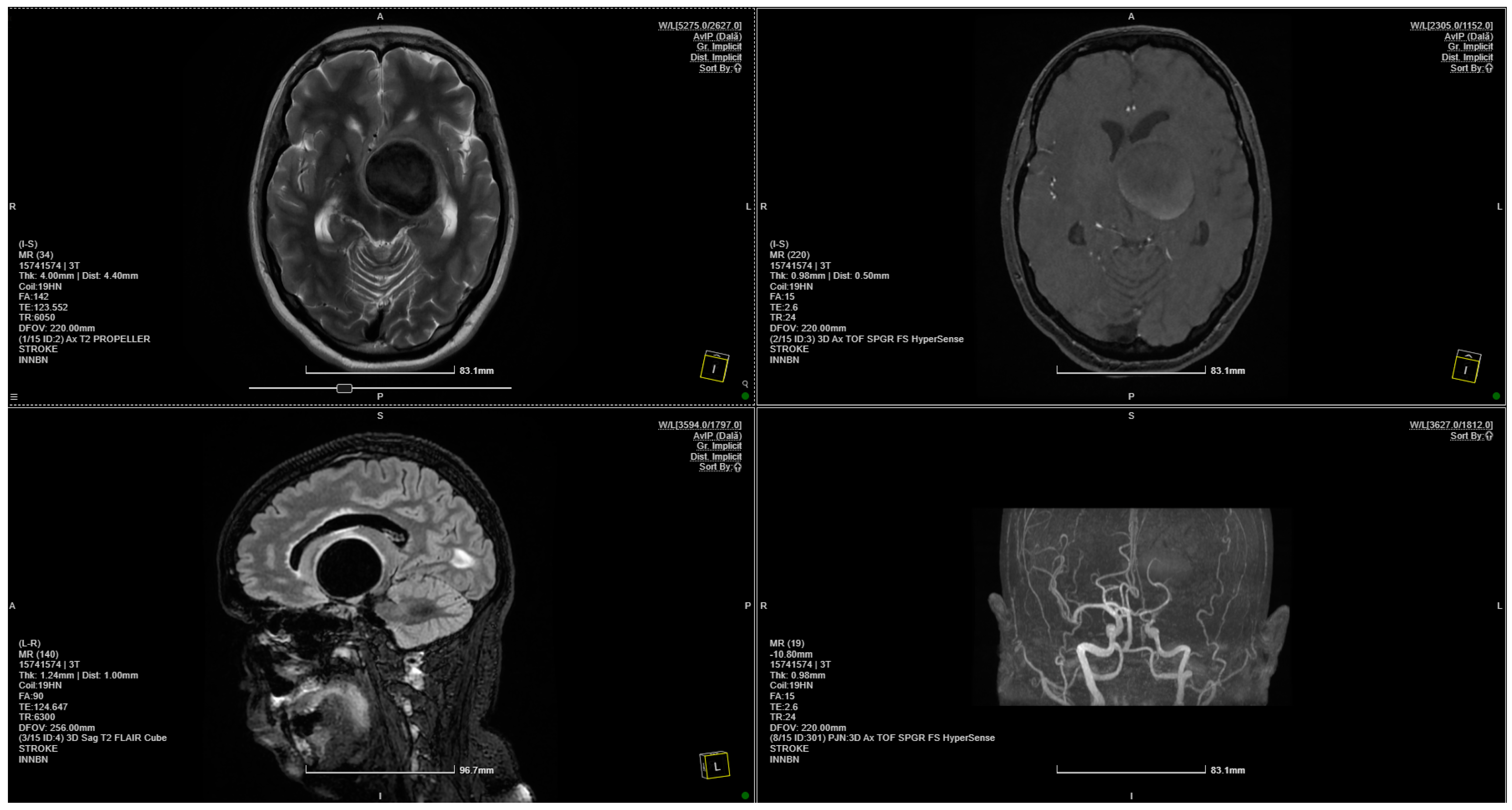 Brainsci 14 00897 g001