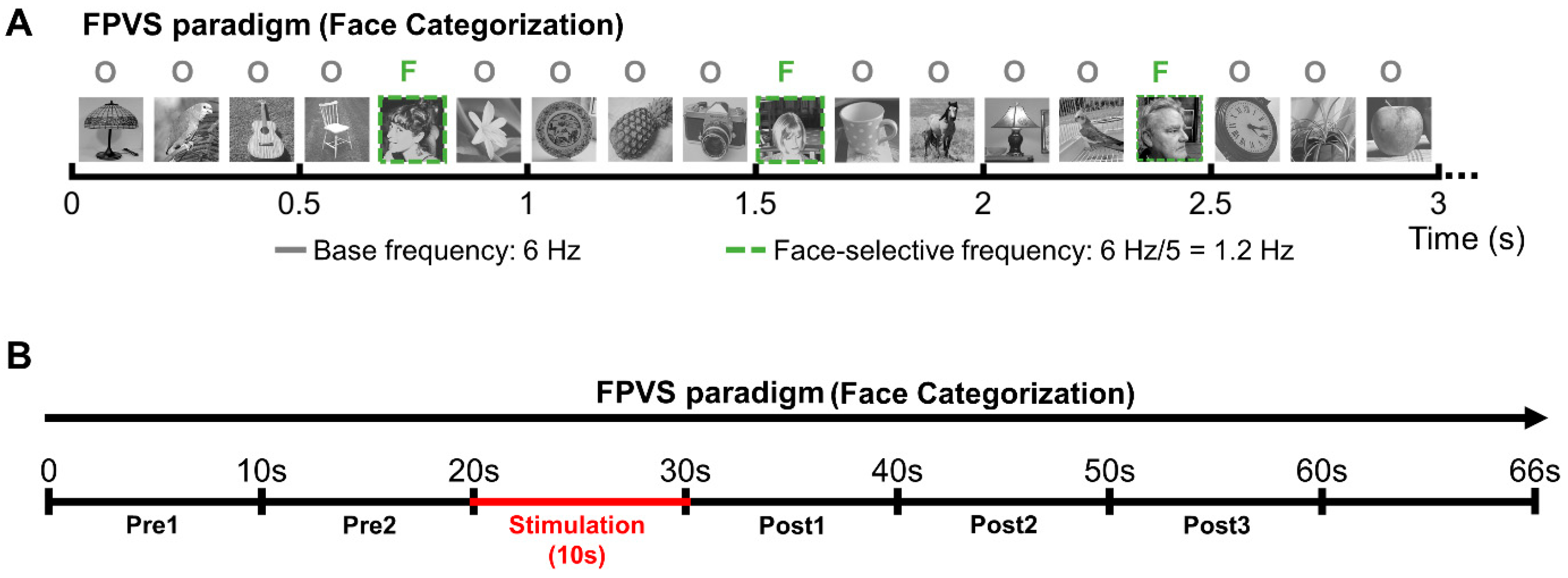 Brainsci 14 00906 g002 Brainsci 14 00906 g002