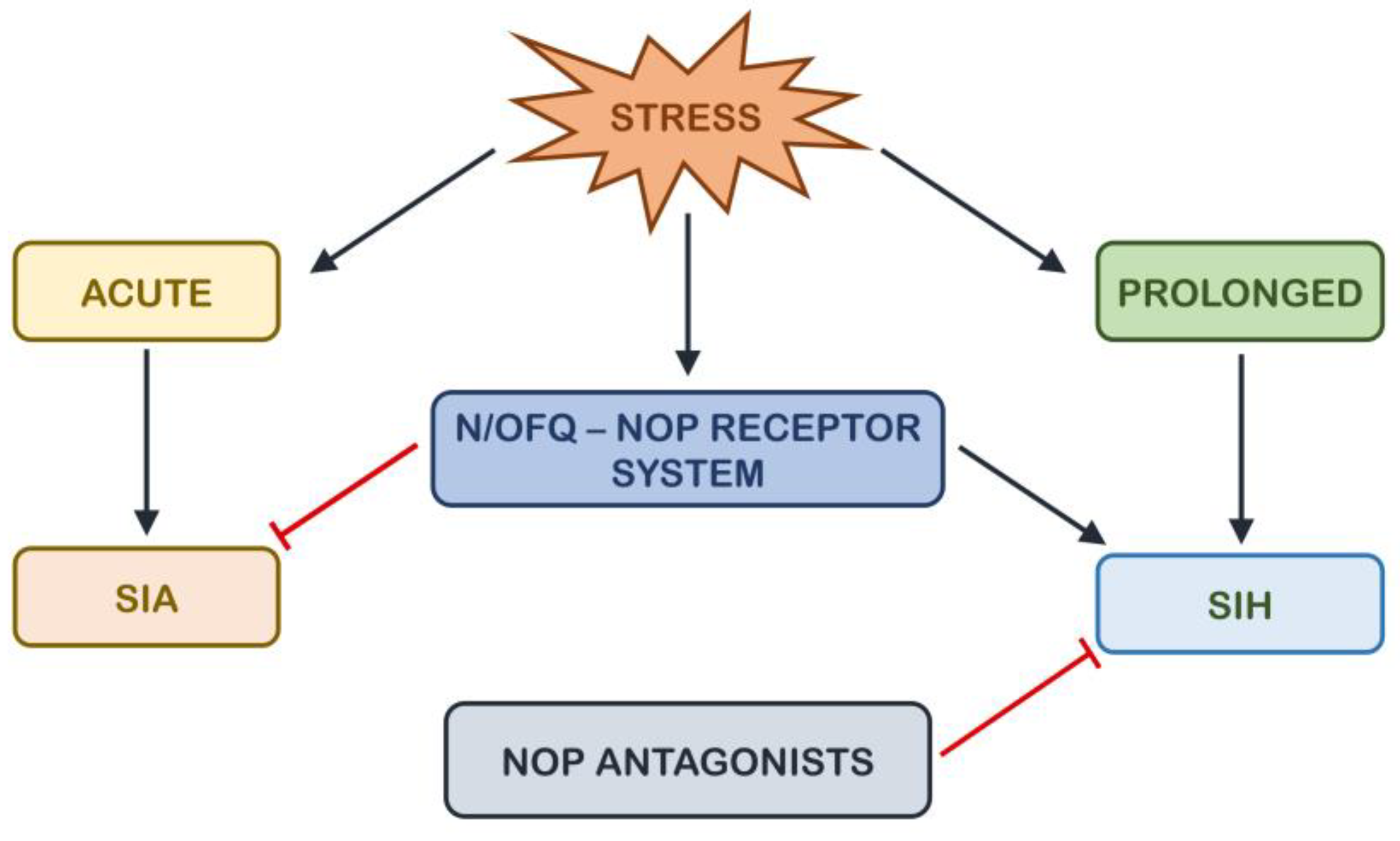 Brainsci 14 00936 g001 Brainsci 14 00936 g001