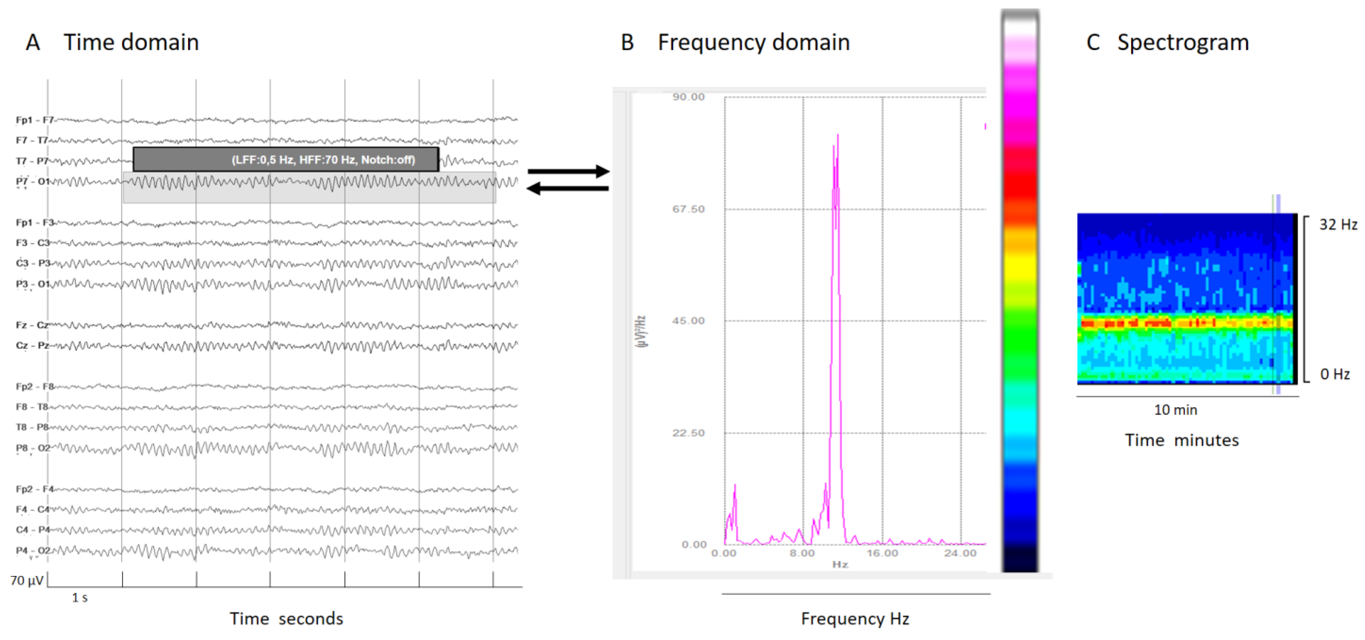 Brainsci 14 00939 g002