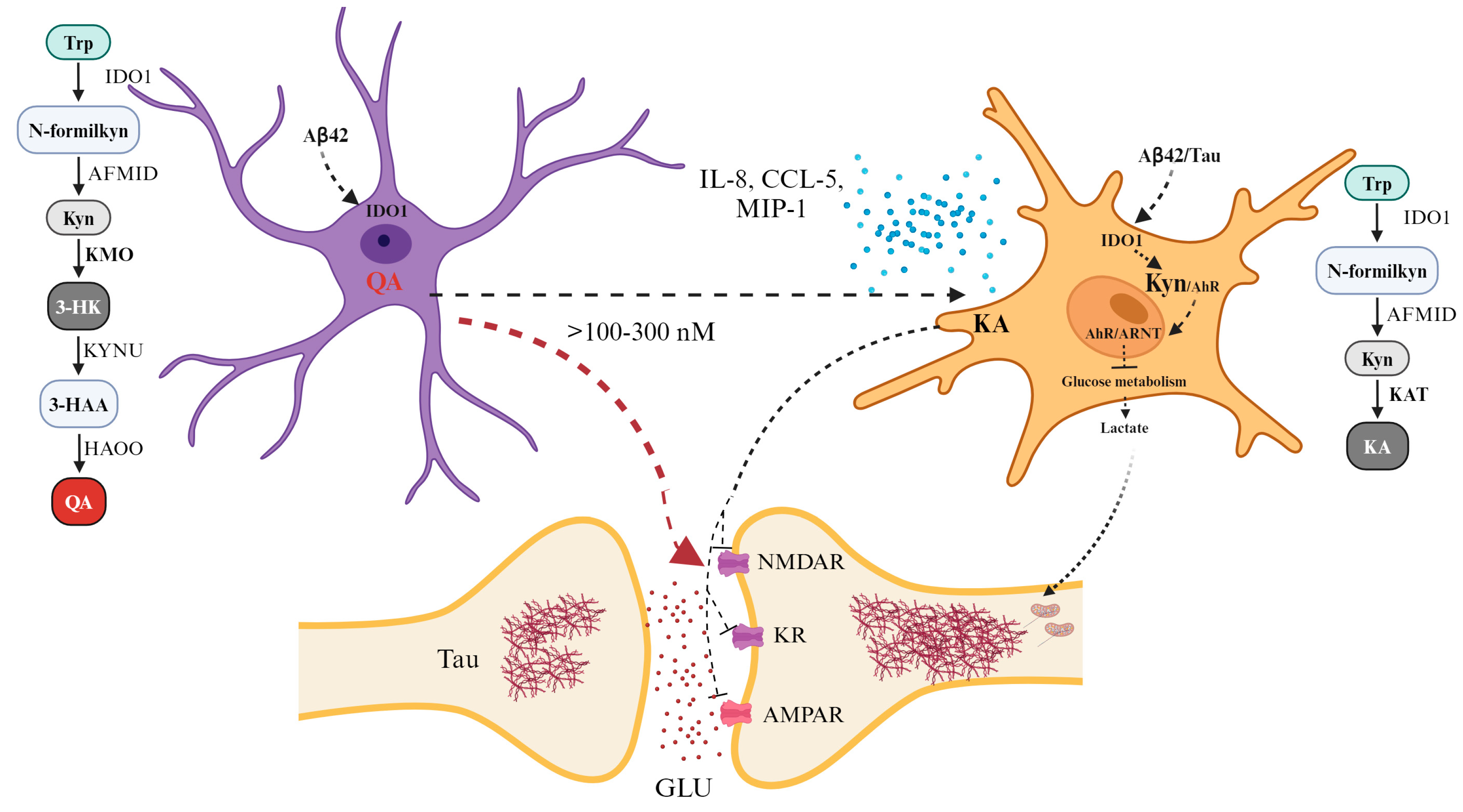 Brainsci 14 00950 g002