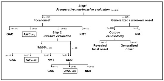Brainsci 14 00958 g001