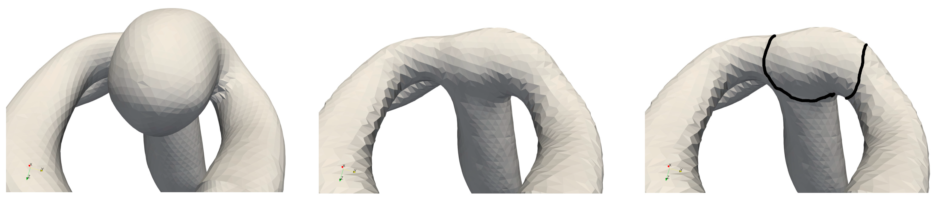 Brainsci 14 00977 g001