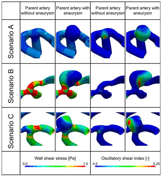 Brainsci 14 00977 g002