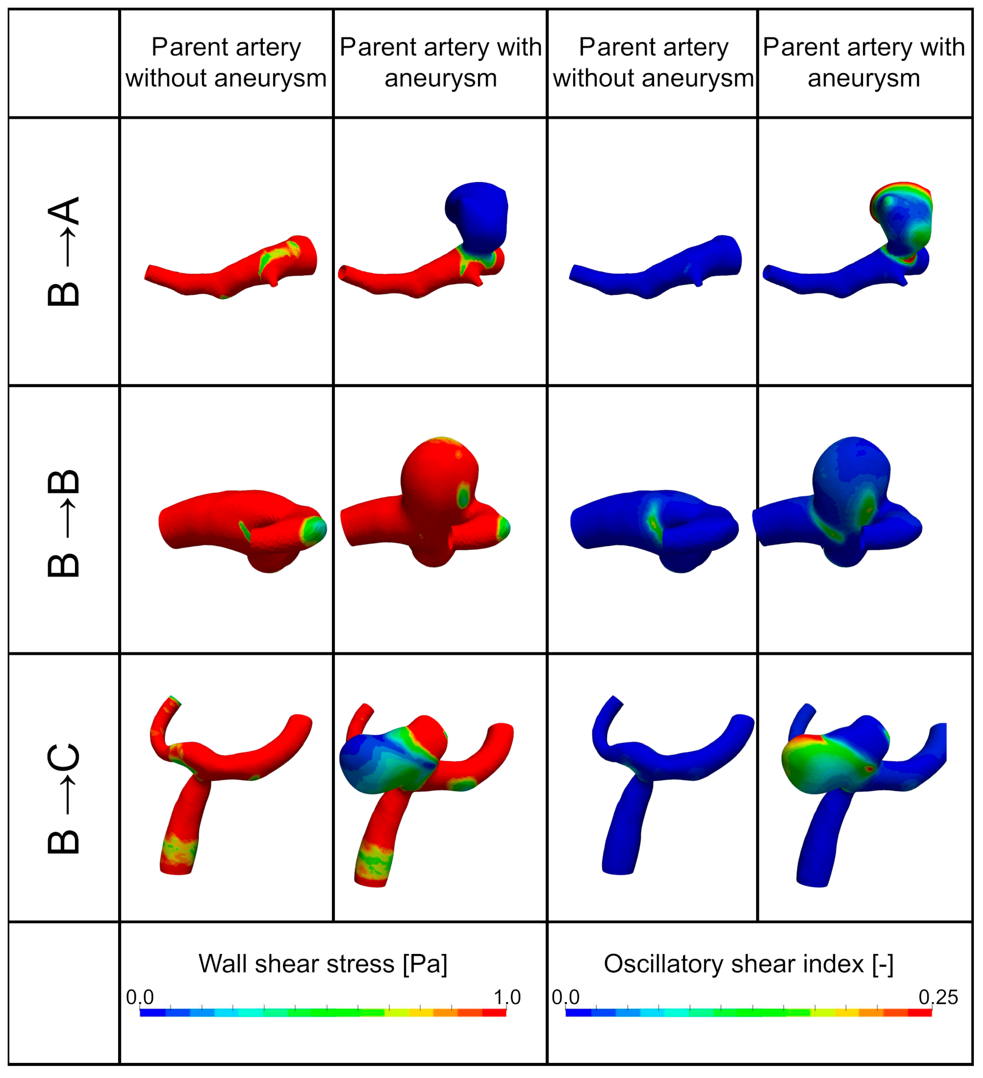 Brainsci 14 00977 g003