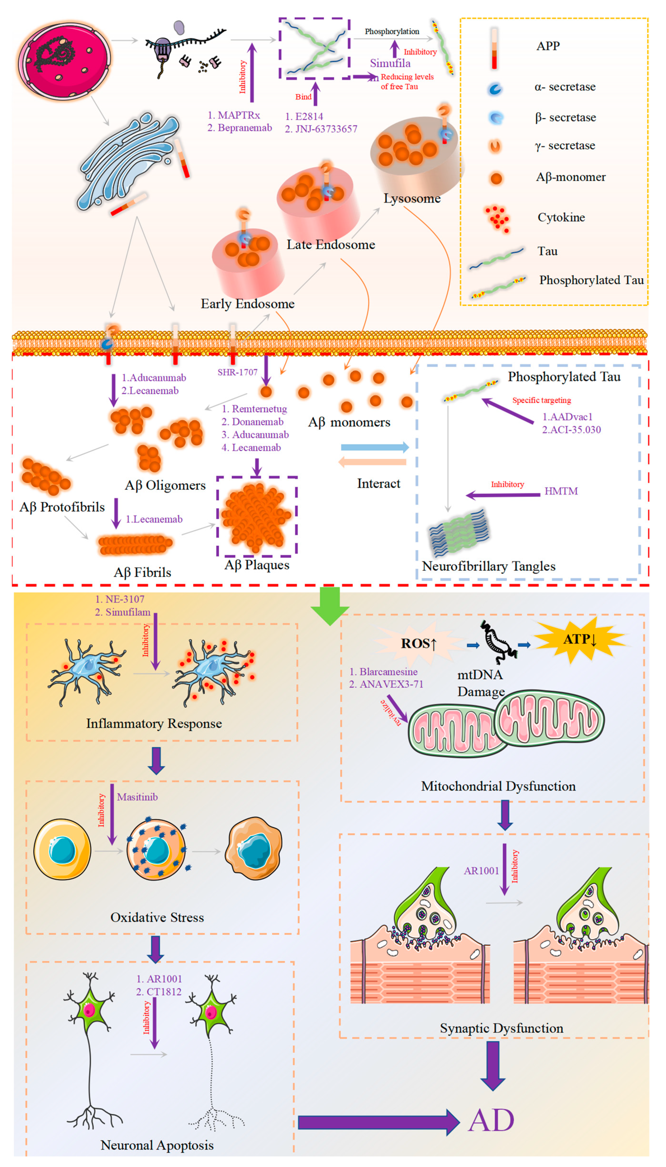 Brainsci 14 00990 g001 Brainsci 14 00990 g001