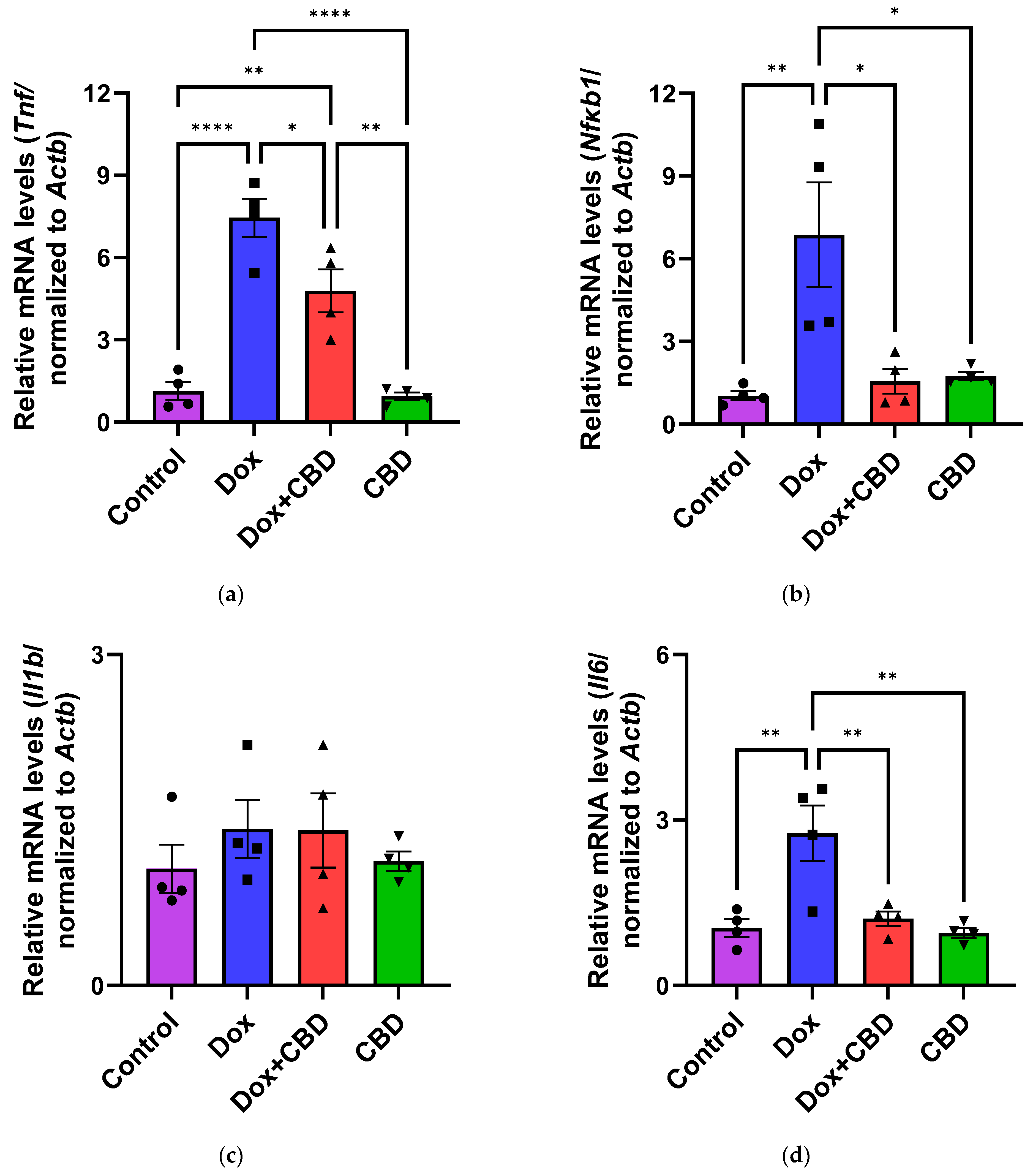 Brainsci 14 00999 g009a Brainsci 14 00999 g009a