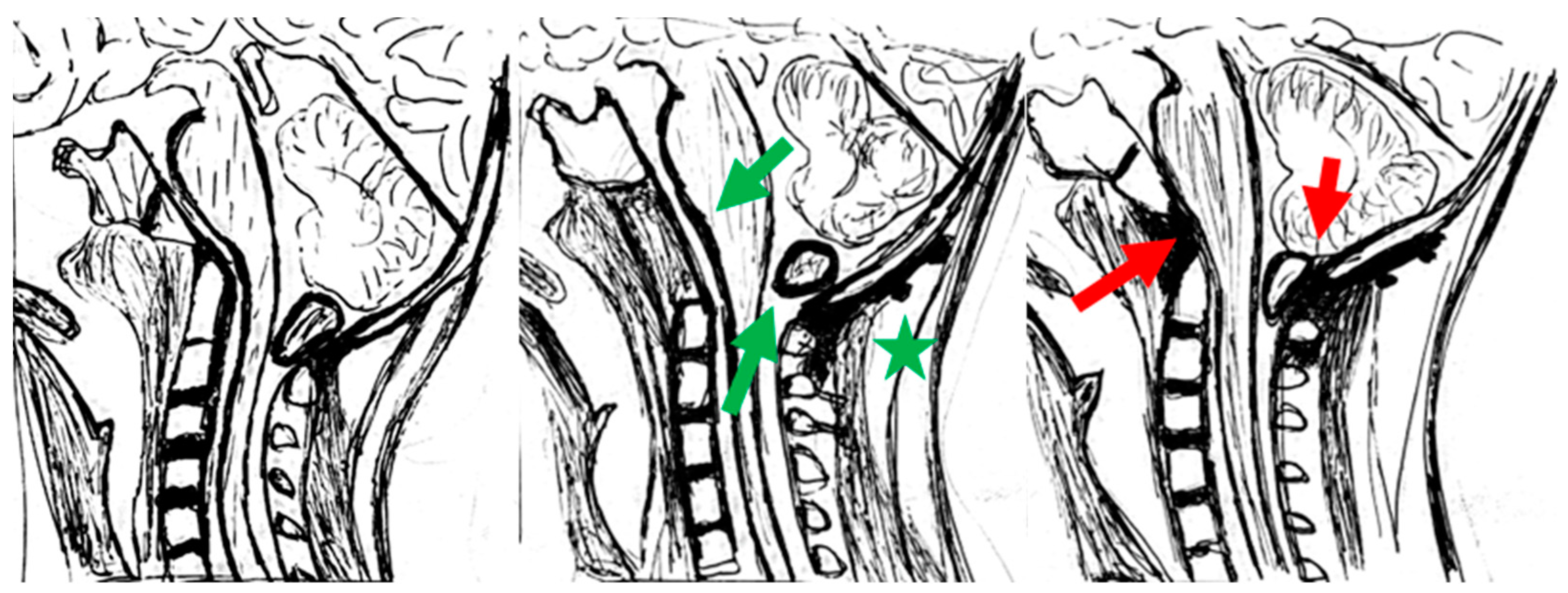 Brainsci 14 01006 g001