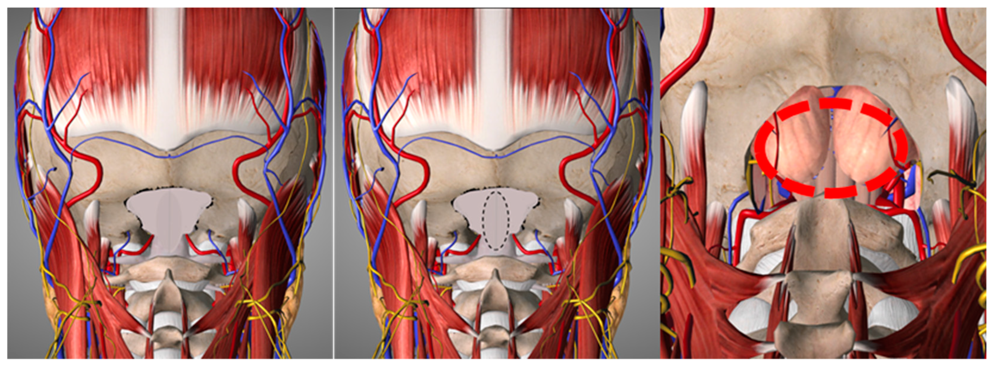 Brainsci 14 01006 g002