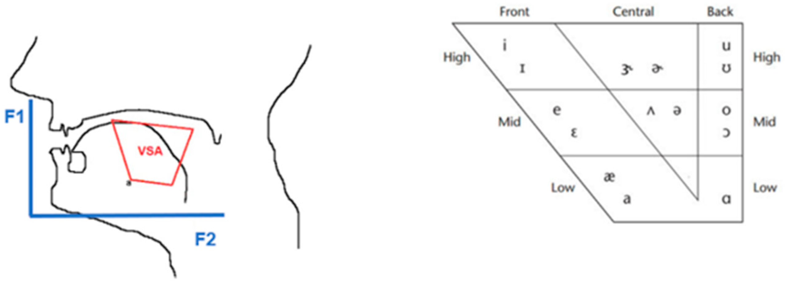 Brainsci 14 01019 g001
