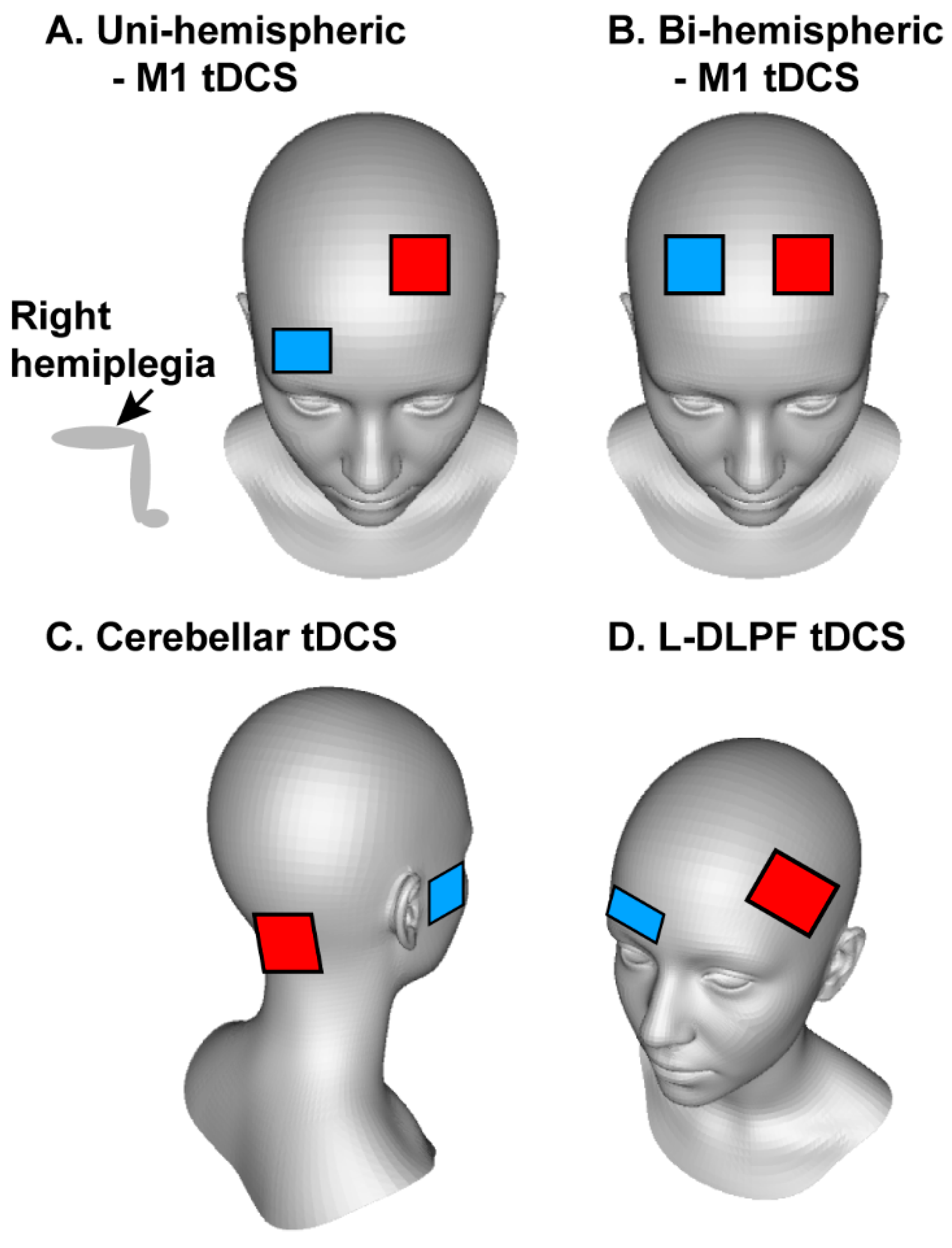 Brainsci 14 01021 g002
