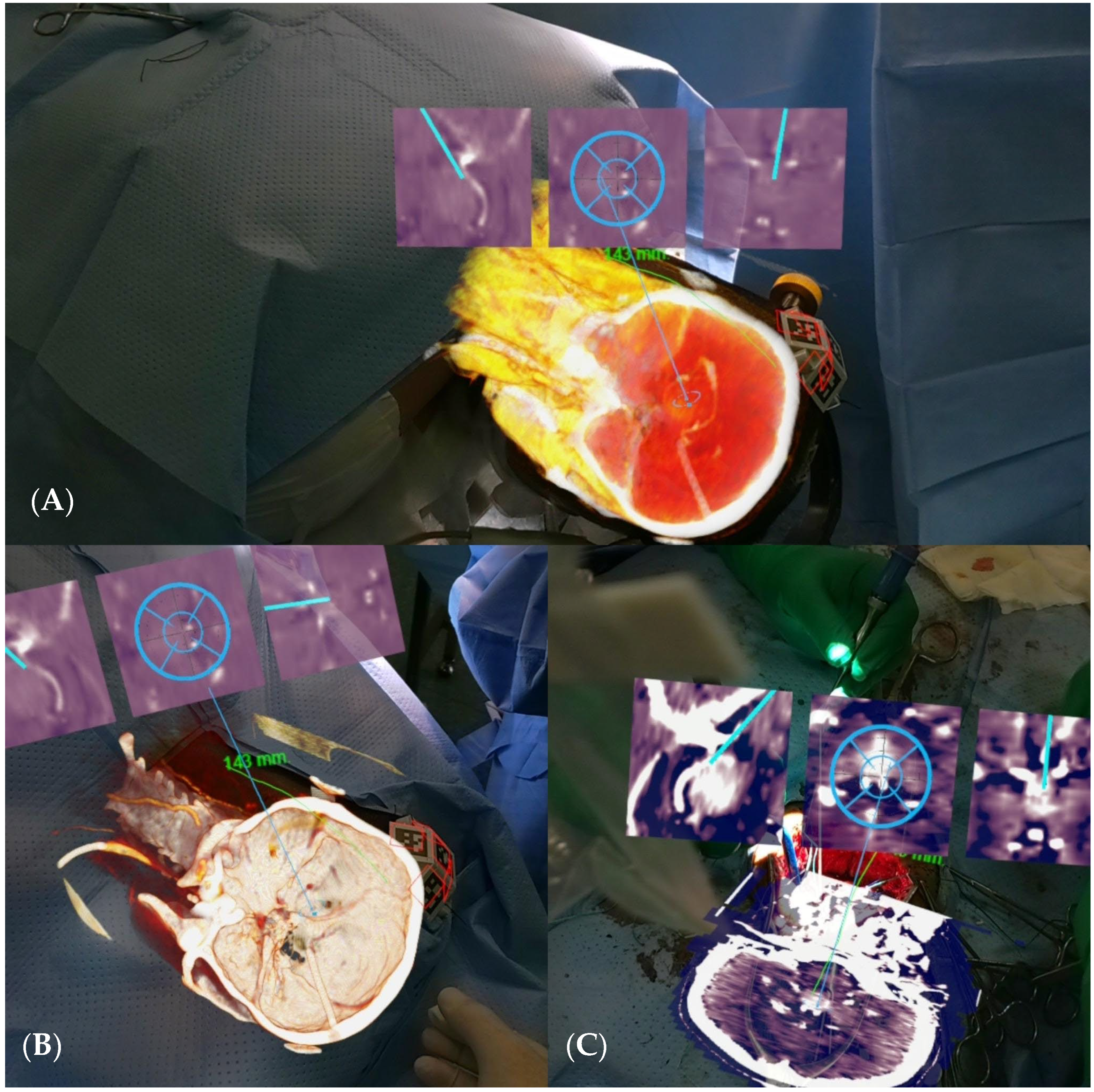 Brainsci 14 01025 g005 Brainsci 14 01025 g005