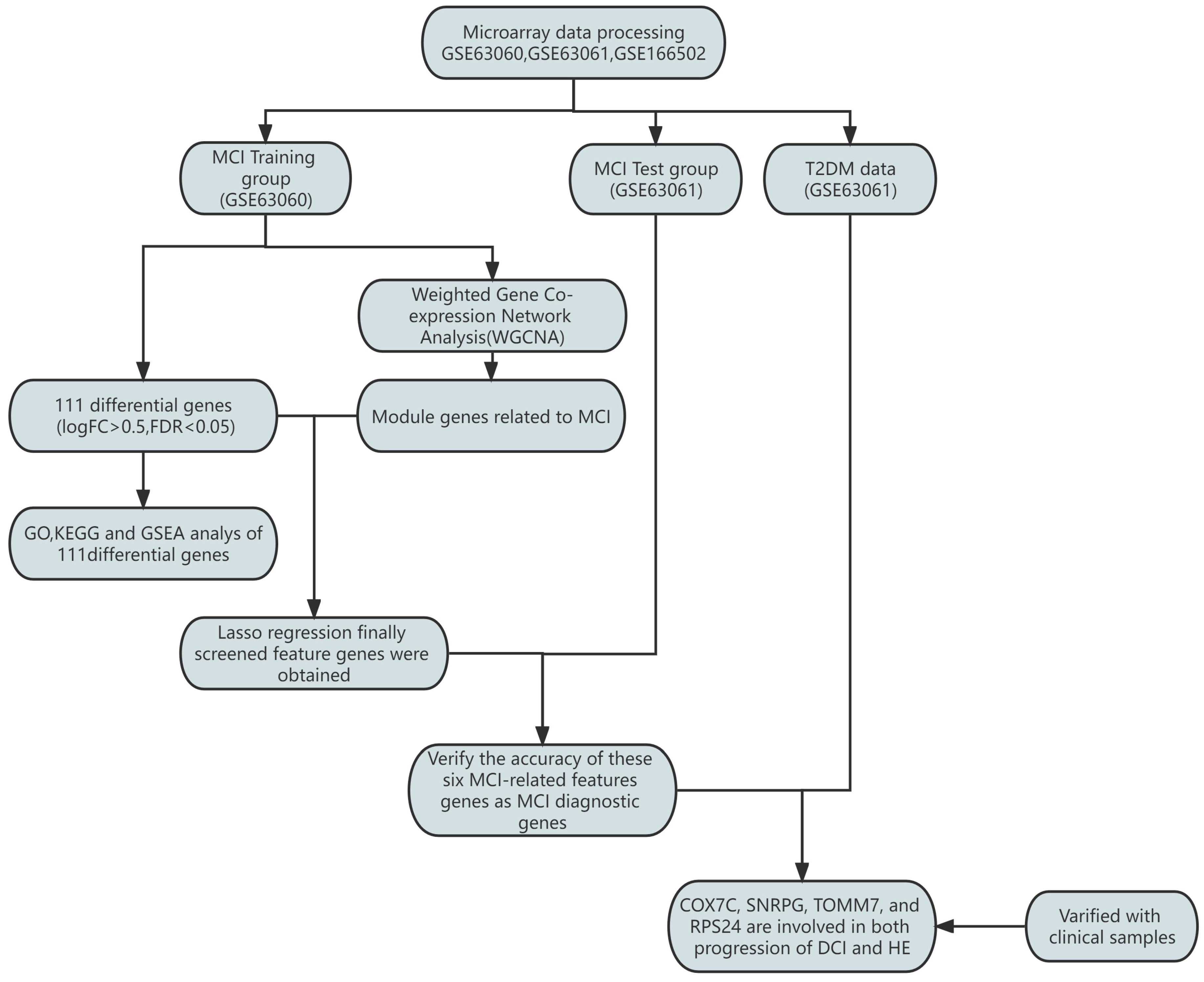 Brainsci 14 01035 g001