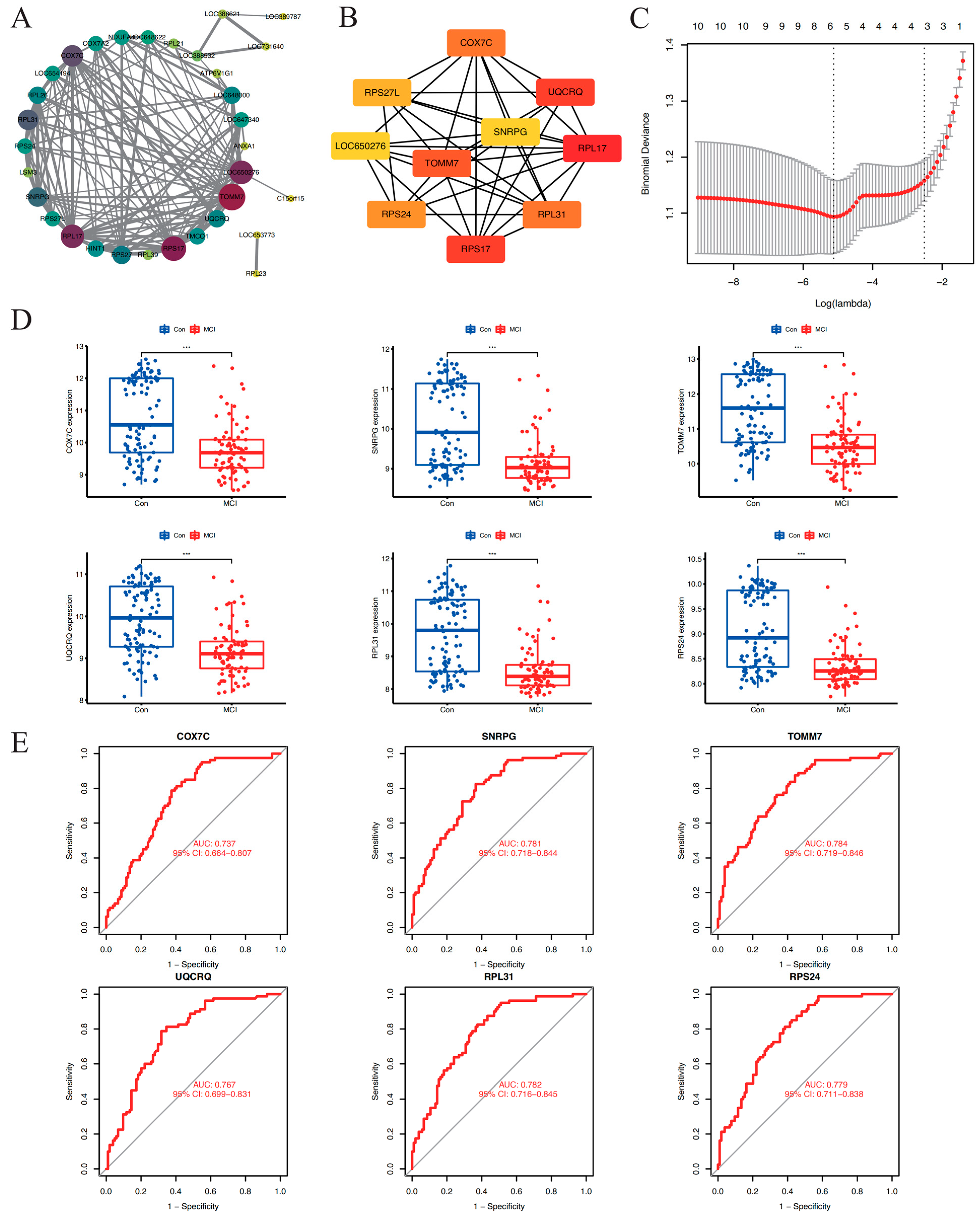 Brainsci 14 01035 g004