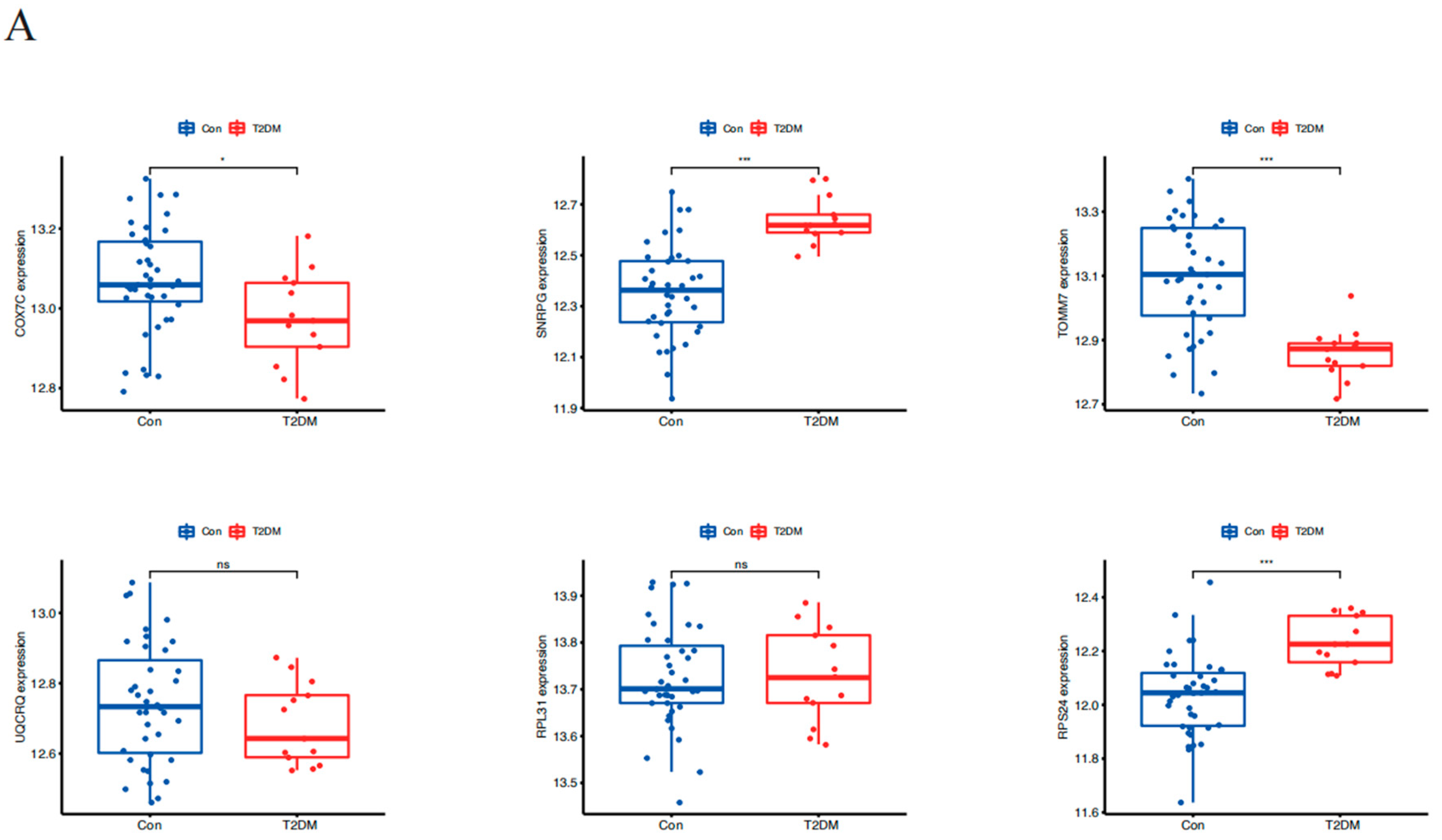 Brainsci 14 01035 g005a