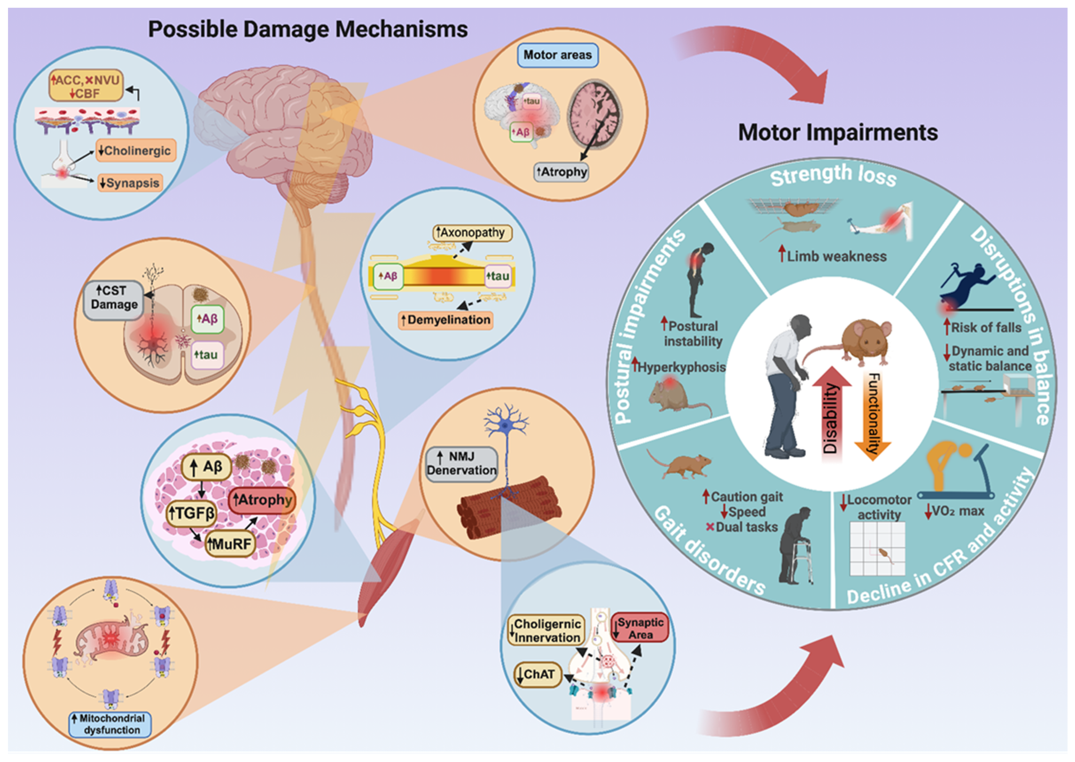 Brainsci 14 01054 g001 Brainsci 14 01054 g001